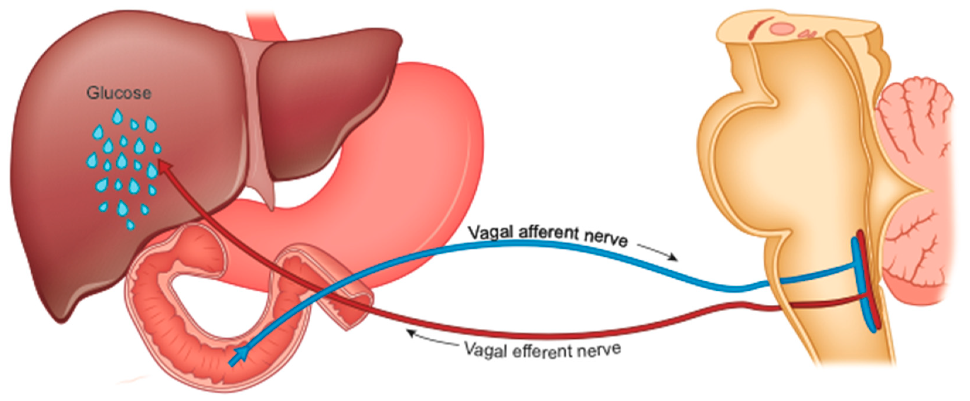 Gastrointestdisord 02 00039 g003