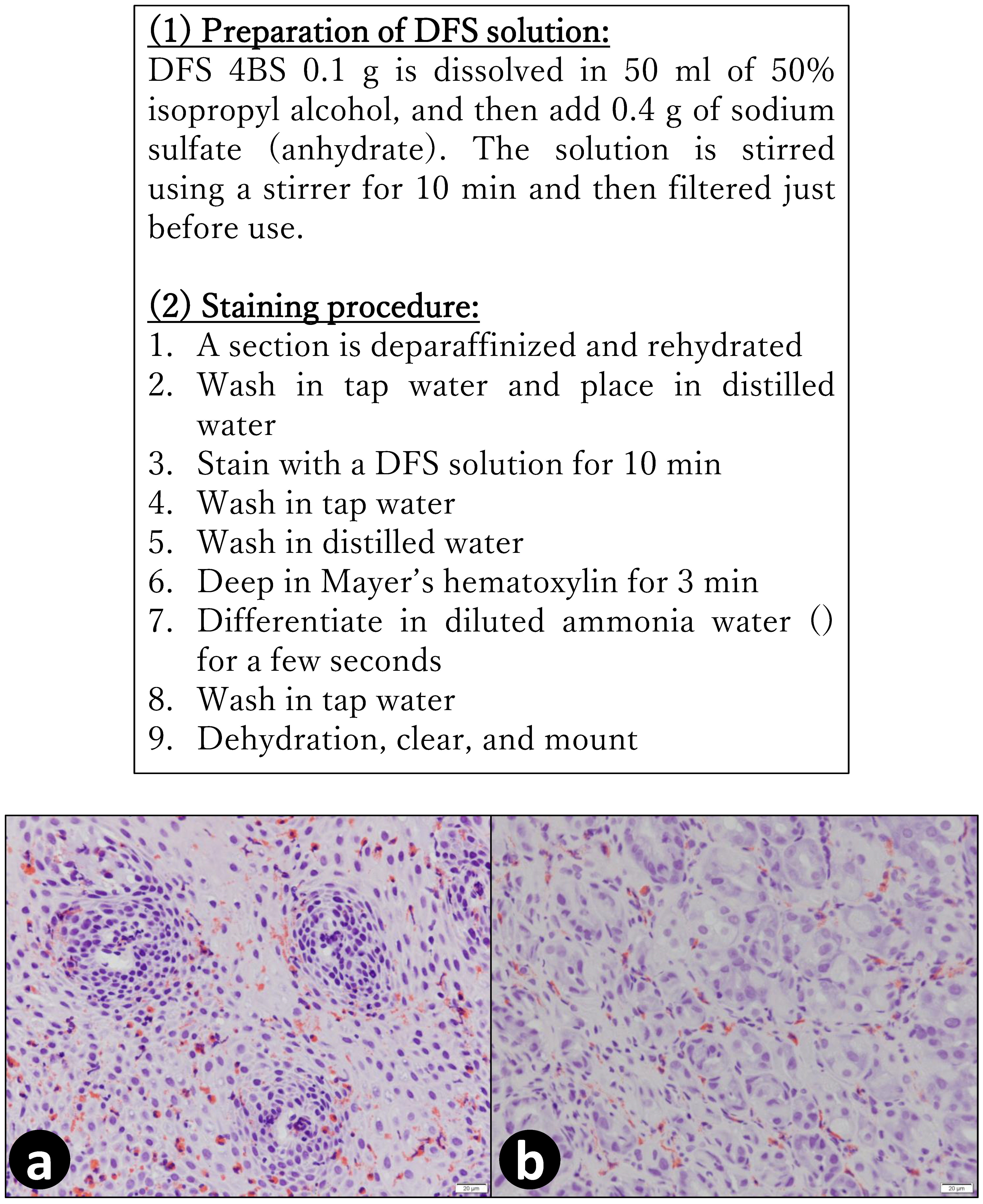 Gastrointestdisord 02 00040 g002 Gastrointestdisord 02 00040 g002