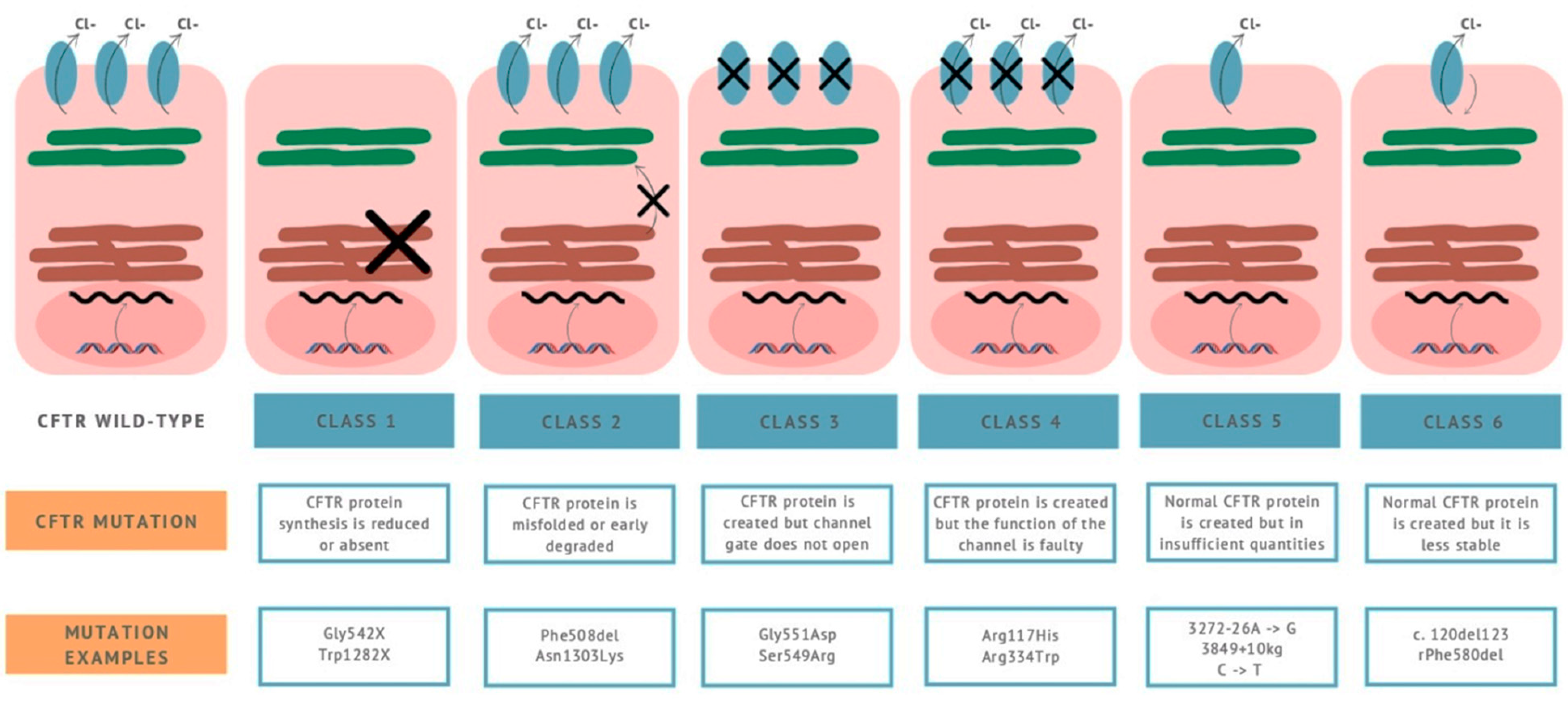 Gastrointestdisord 03 00009 g001 Gastrointestdisord 03 00009 g001