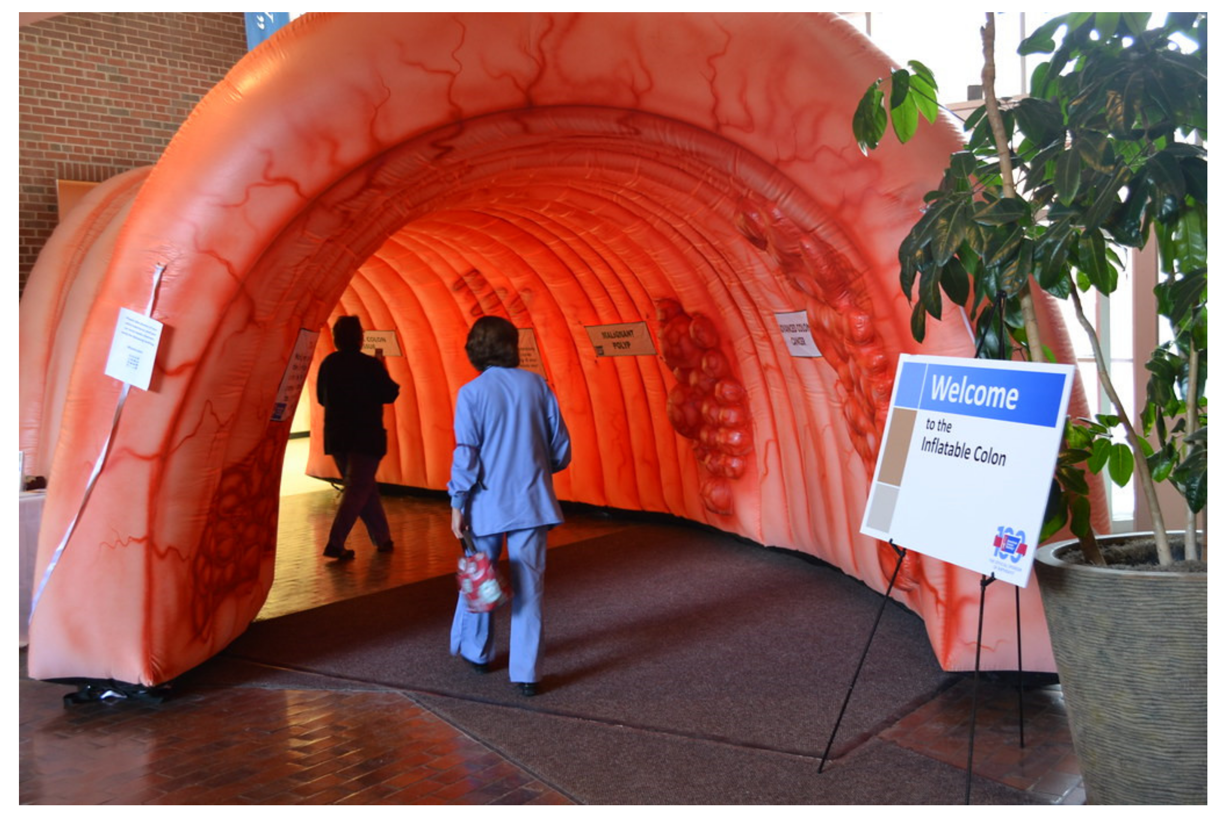 Gastrointestdisord 03 00018 g004 Gastrointestdisord 03 00018 g004