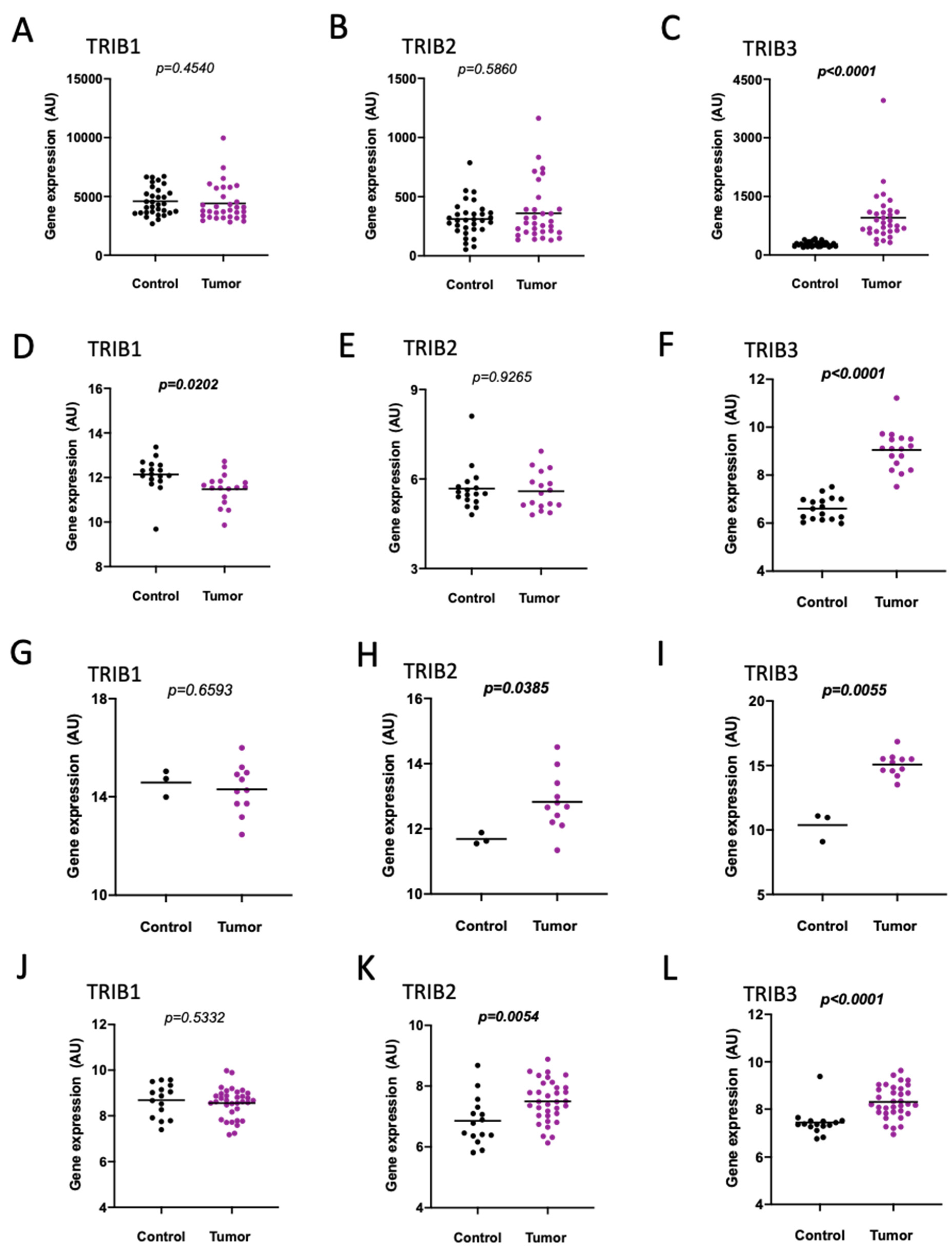 Gastrointestdisord 03 00021 g001