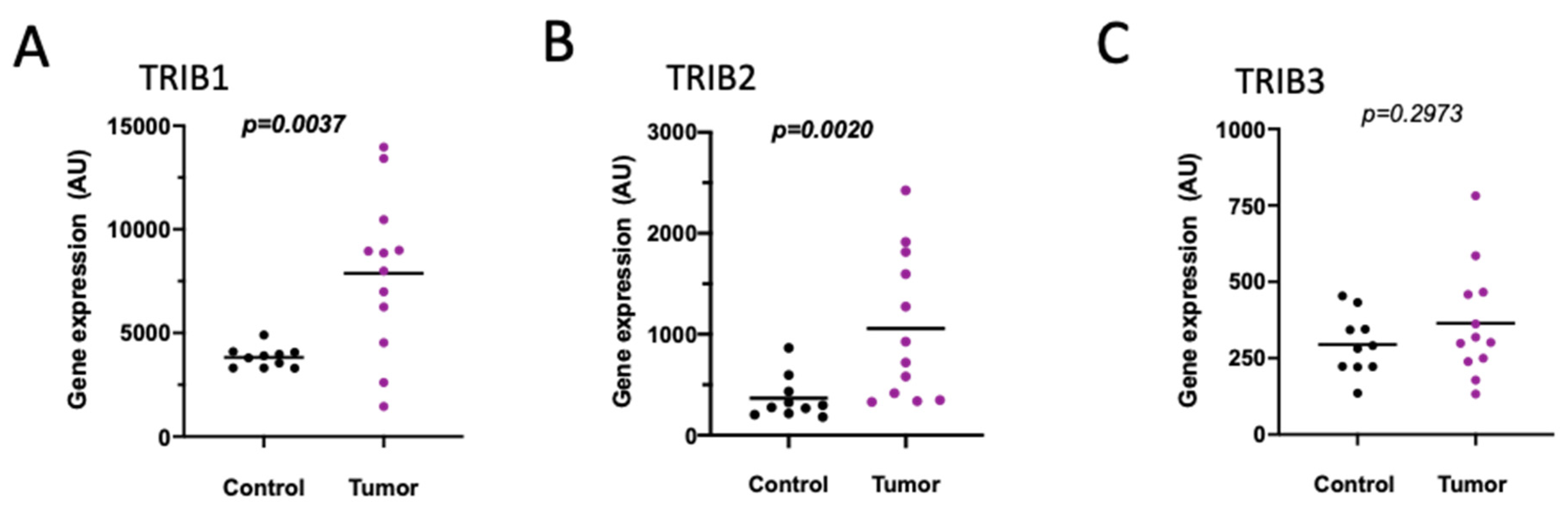 Gastrointestdisord 03 00021 g002
