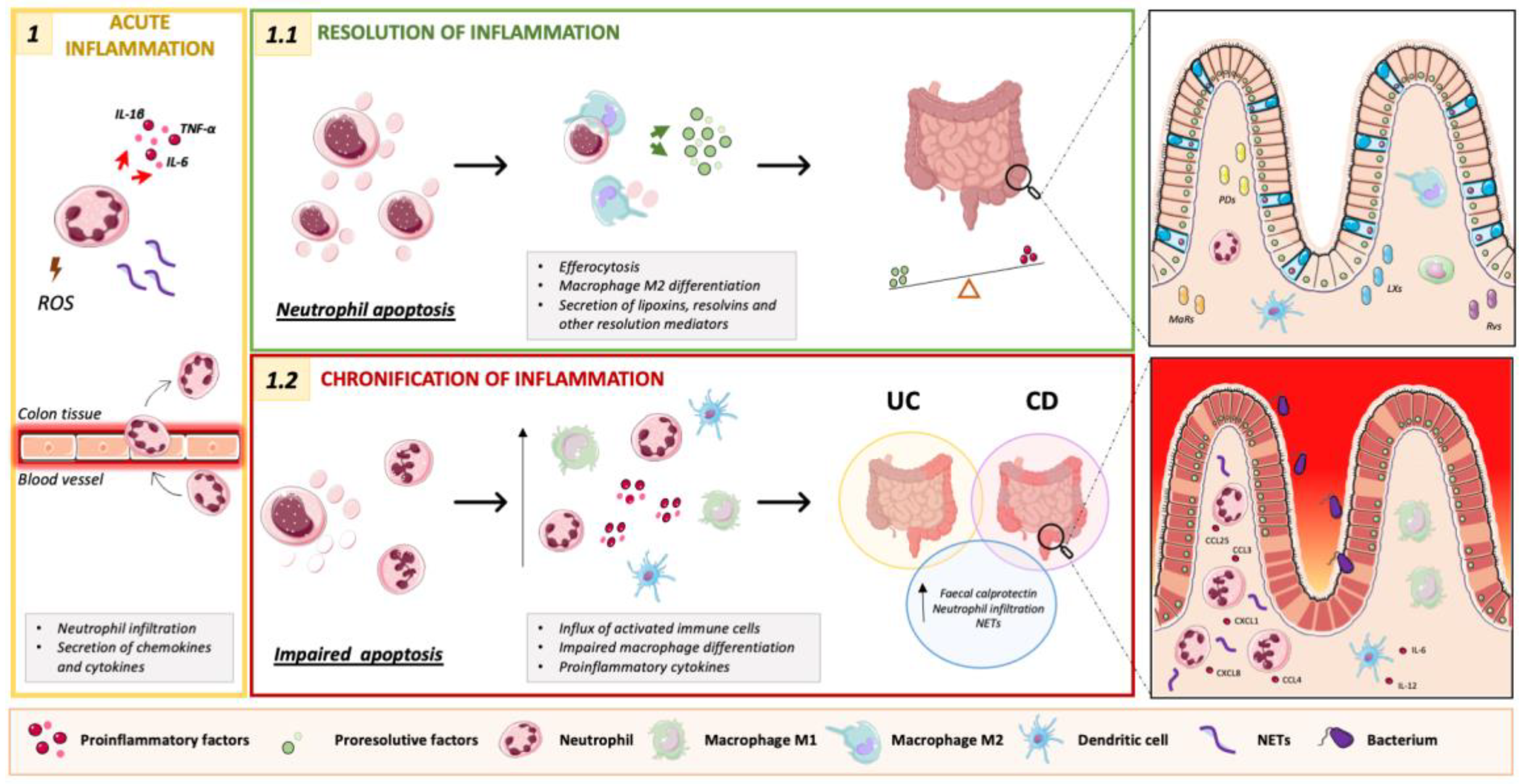 Gastrointestdisord 04 00025 g001 Gastrointestdisord 04 00025 g001