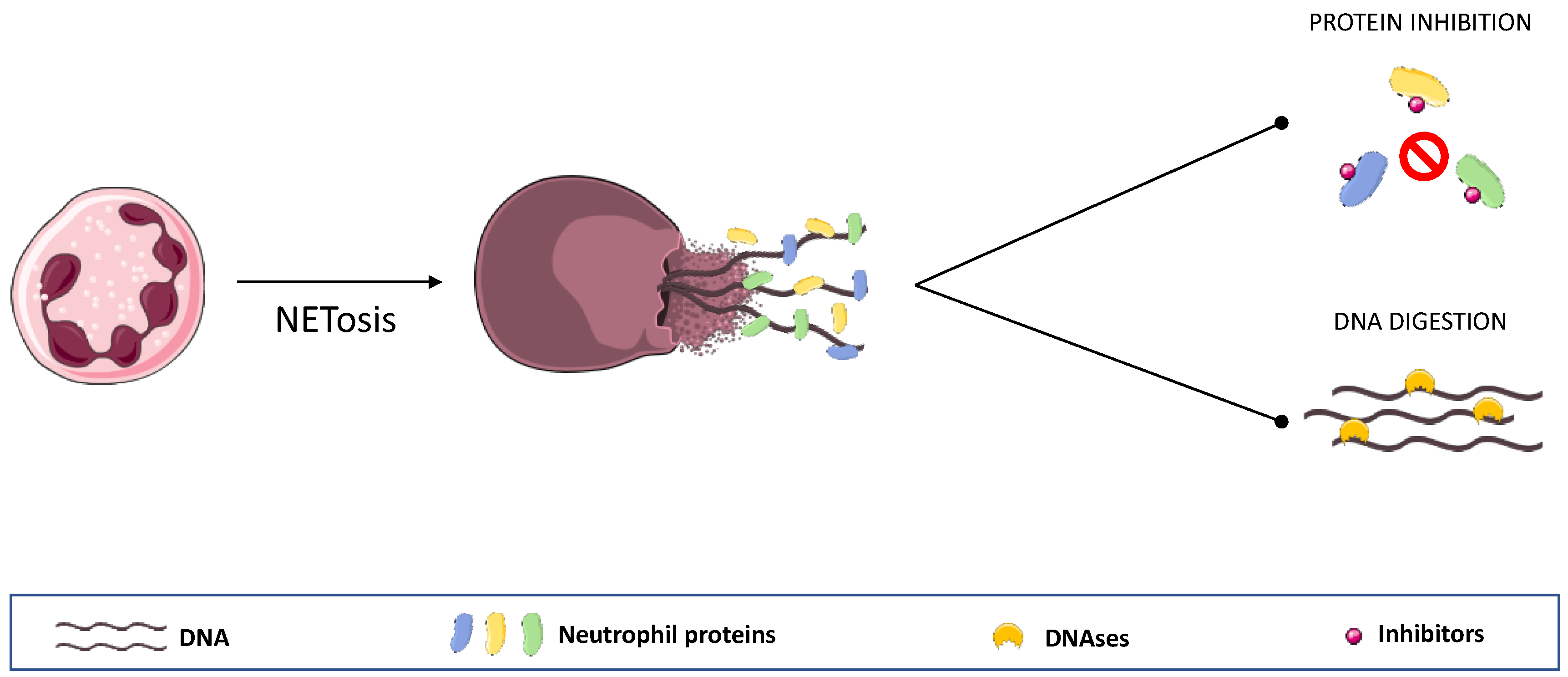 Gastrointestdisord 04 00025 g002 Gastrointestdisord 04 00025 g002