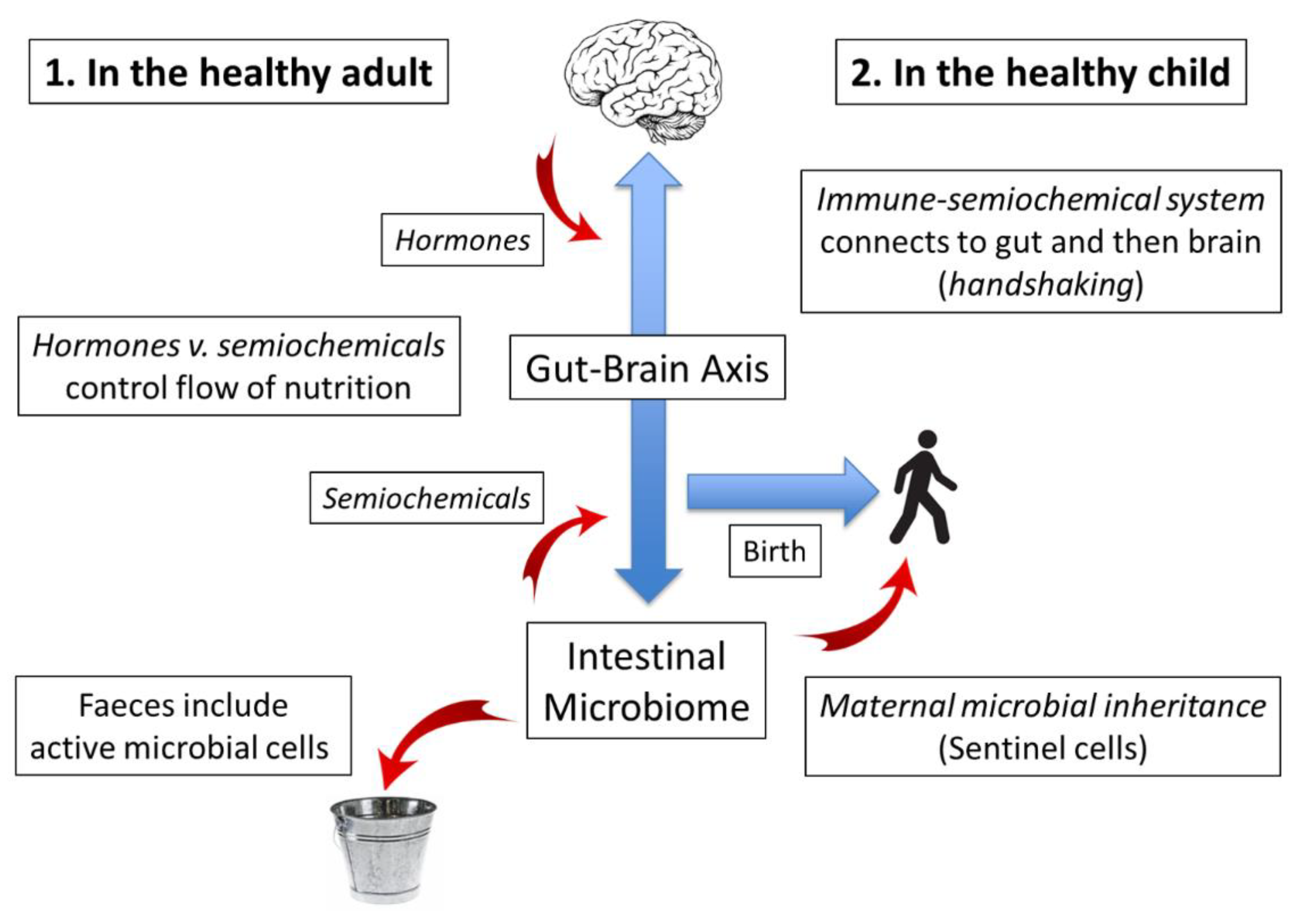 Gastrointestdisord 04 00028 g001