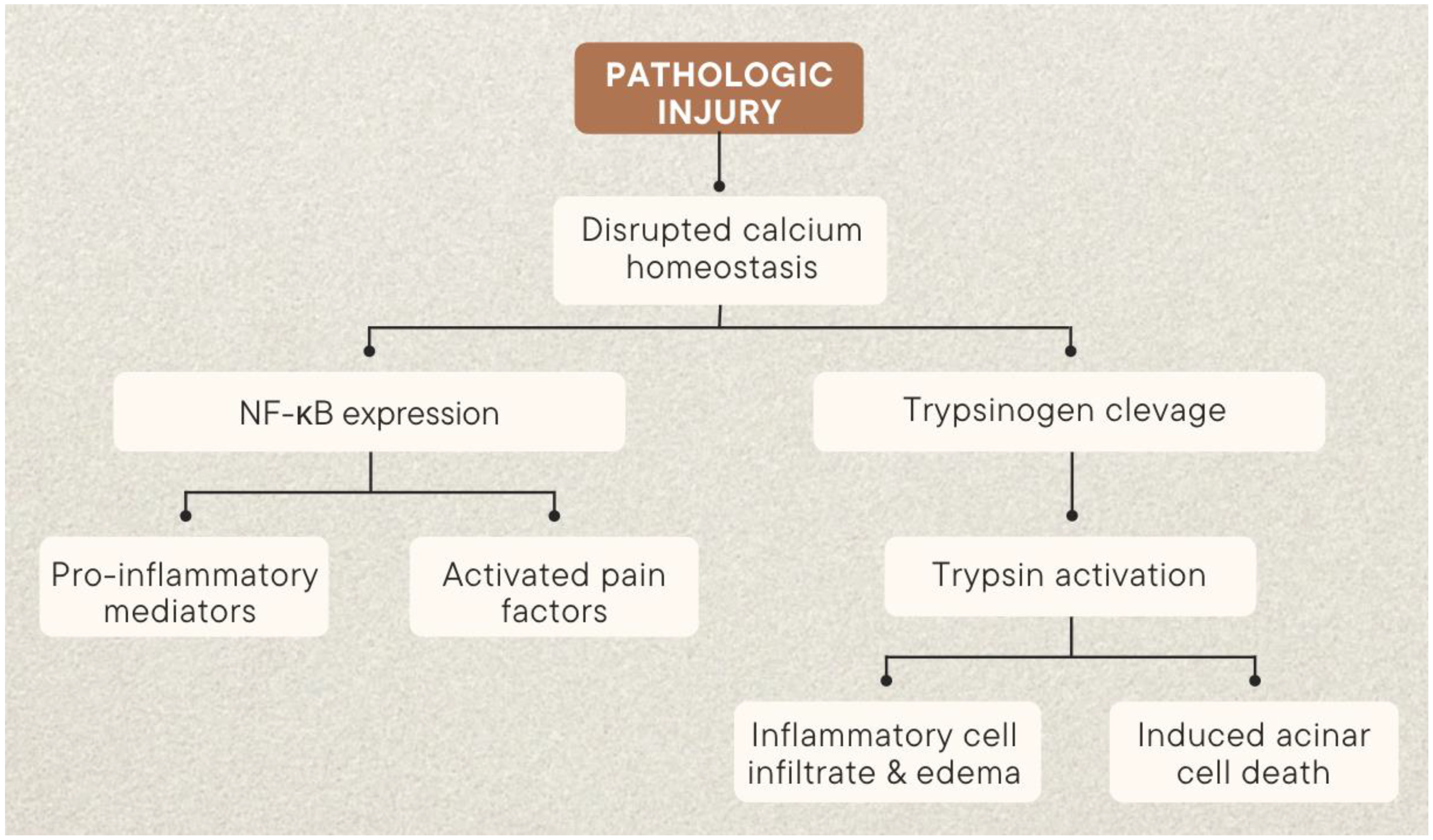 Analysis of Characteristics of Patients with Abdominal Pain in the