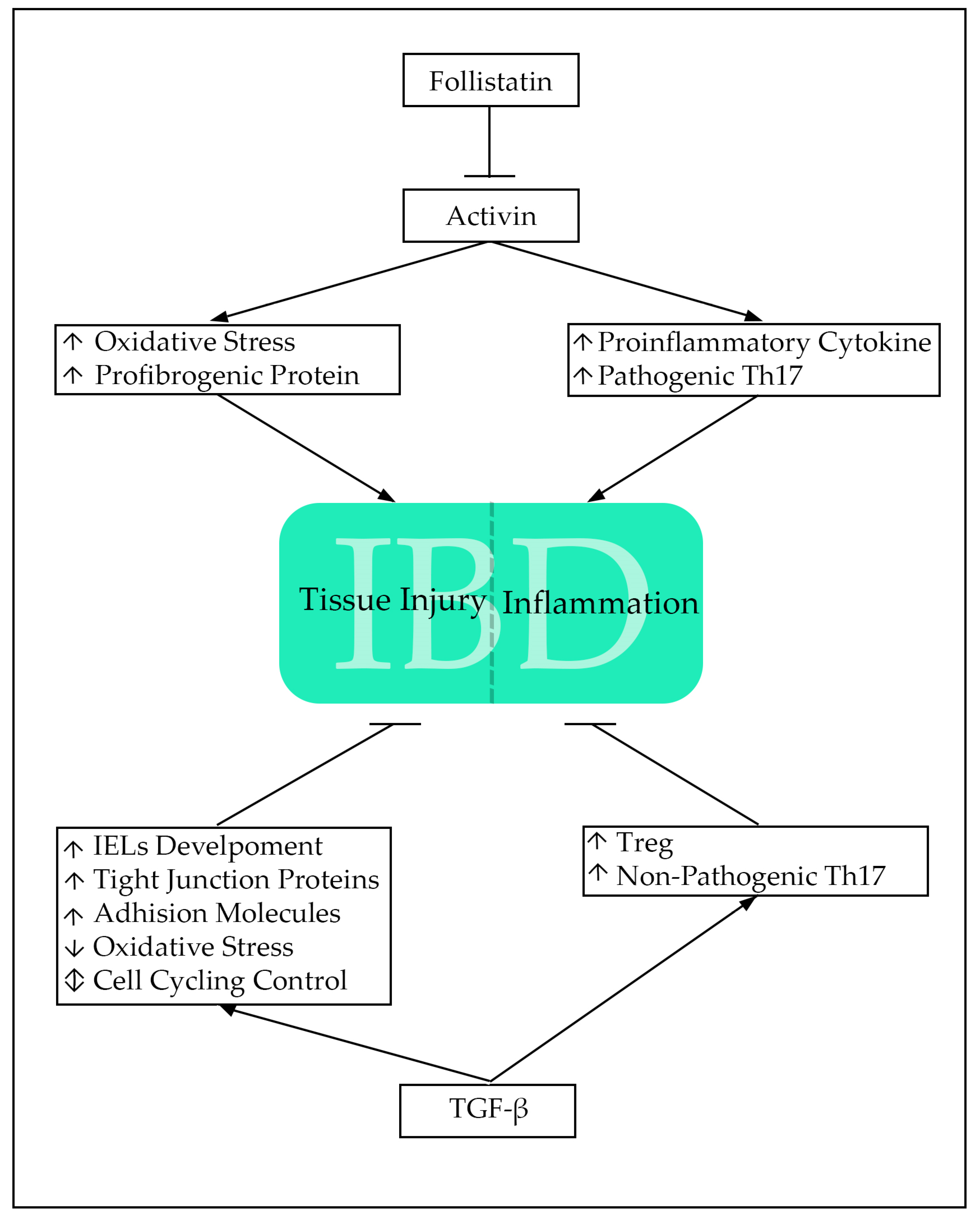 Gastrointestdisord 05 00015 g002