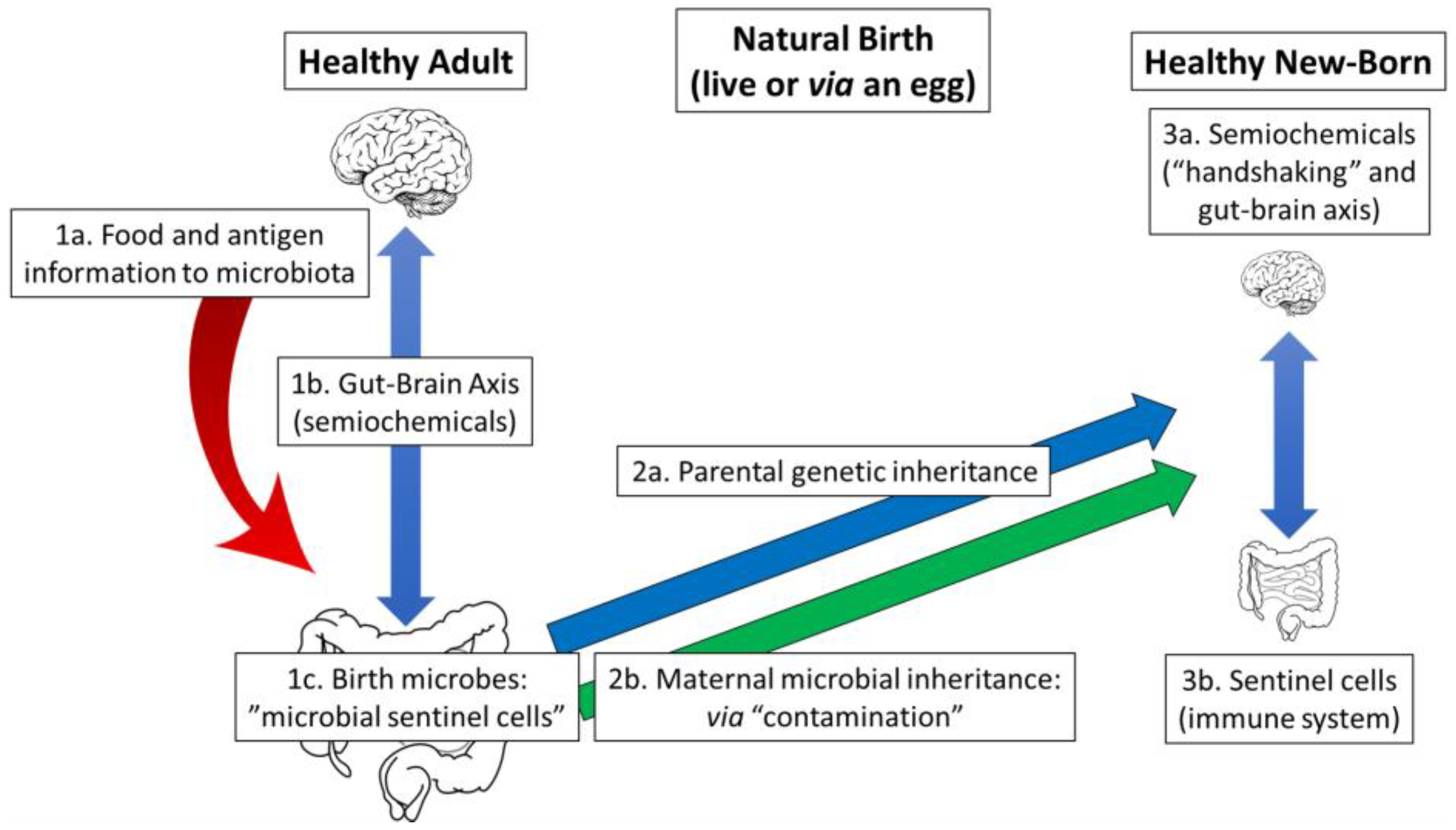 Gastrointestdisord 05 00018 g001