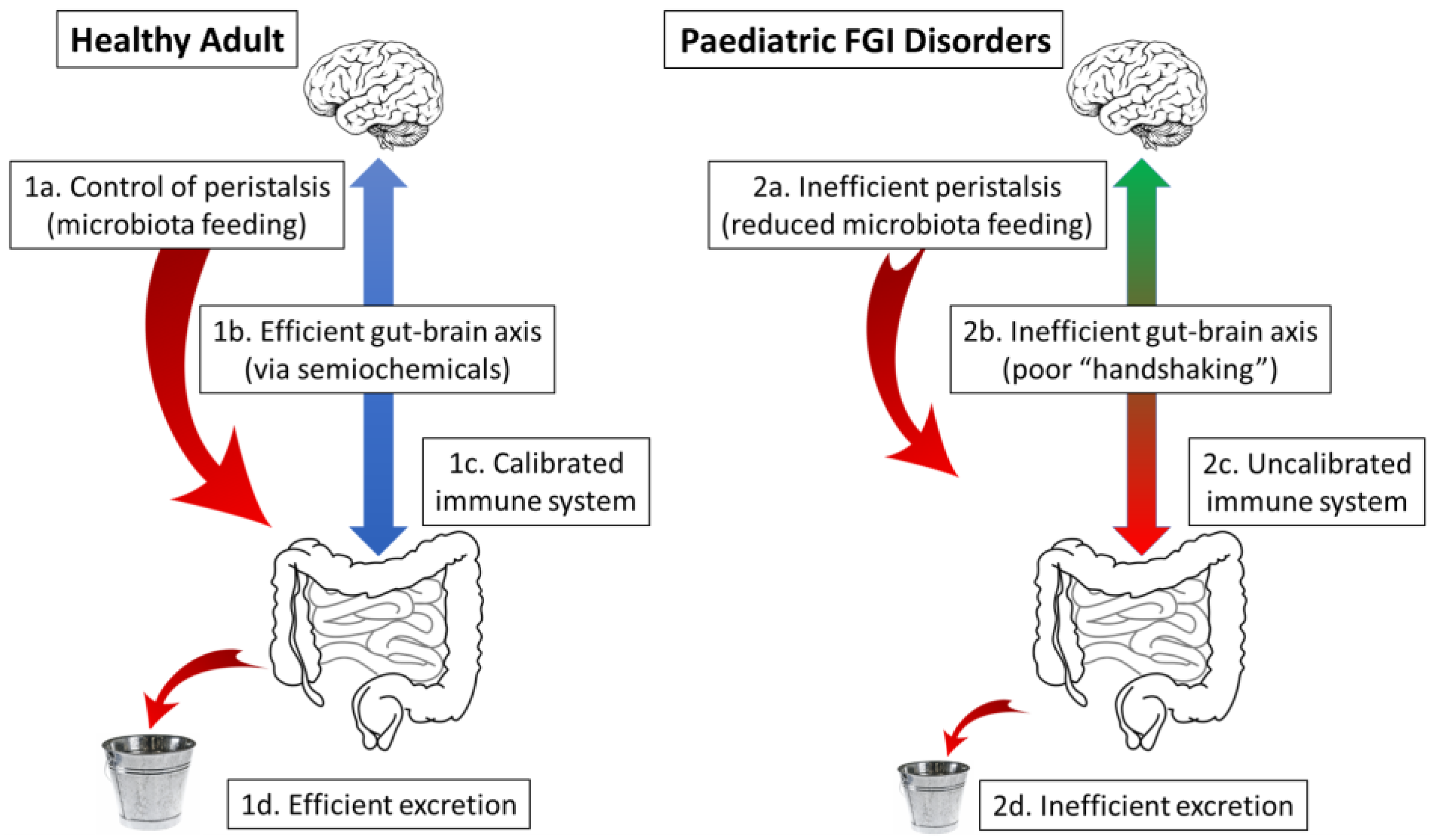 Gastrointestdisord 05 00018 g003