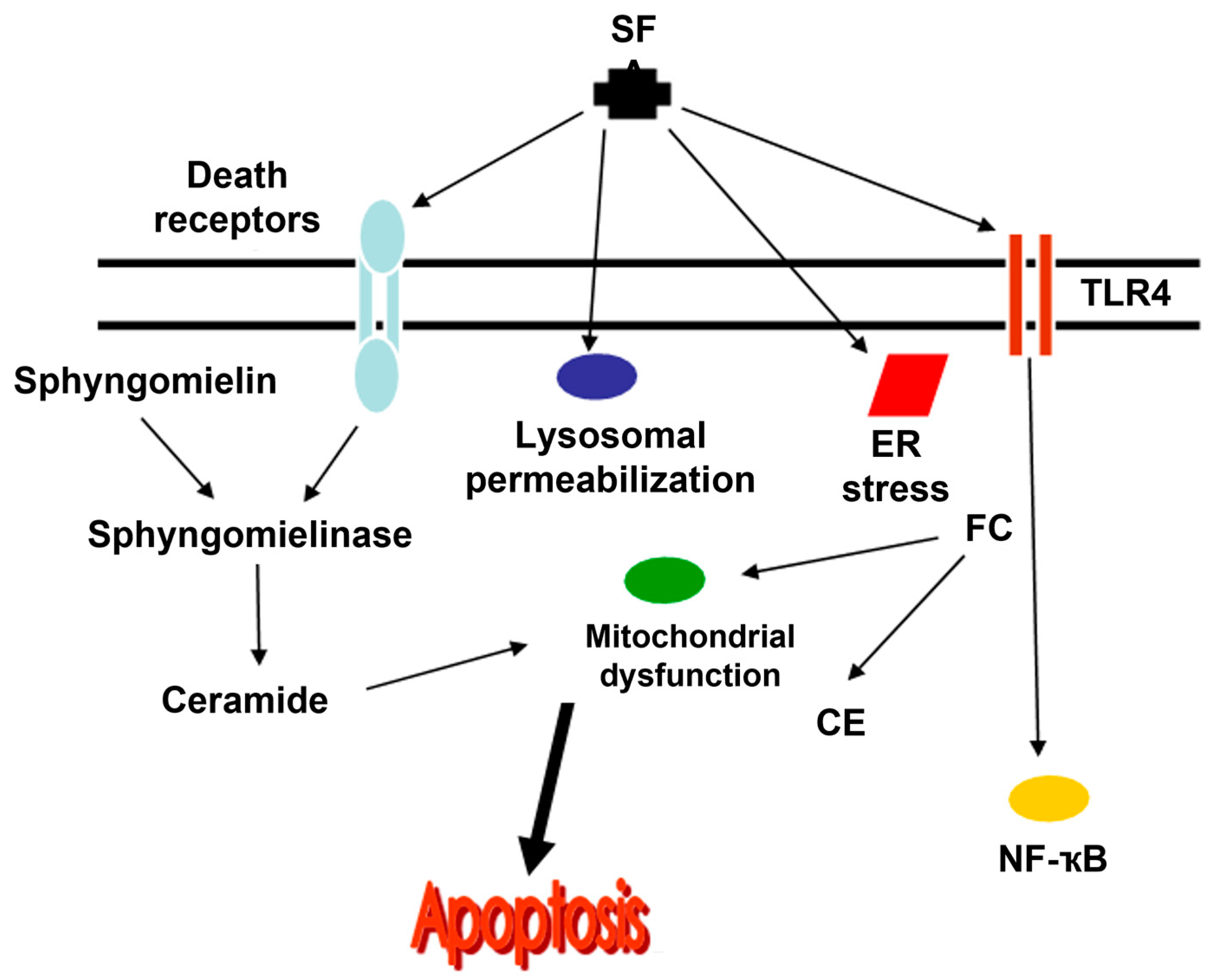 Gastrointestdisord 05 00020 g001