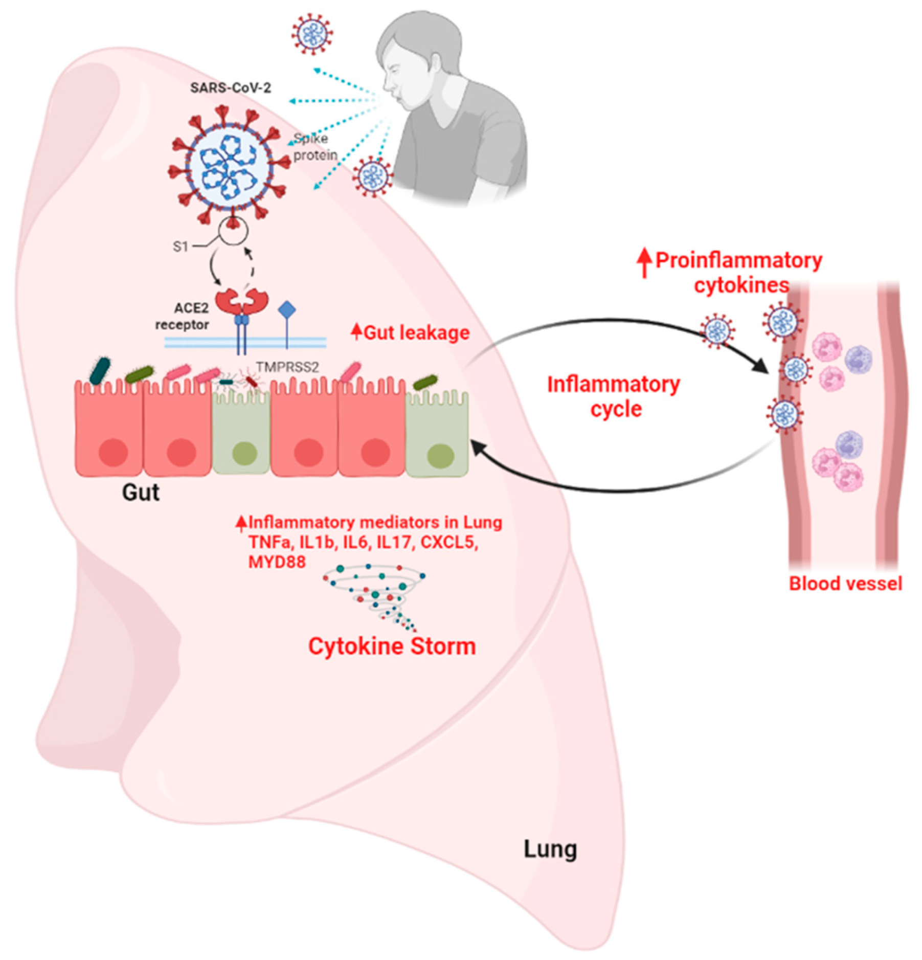 Gastrointestdisord 05 00028 g001