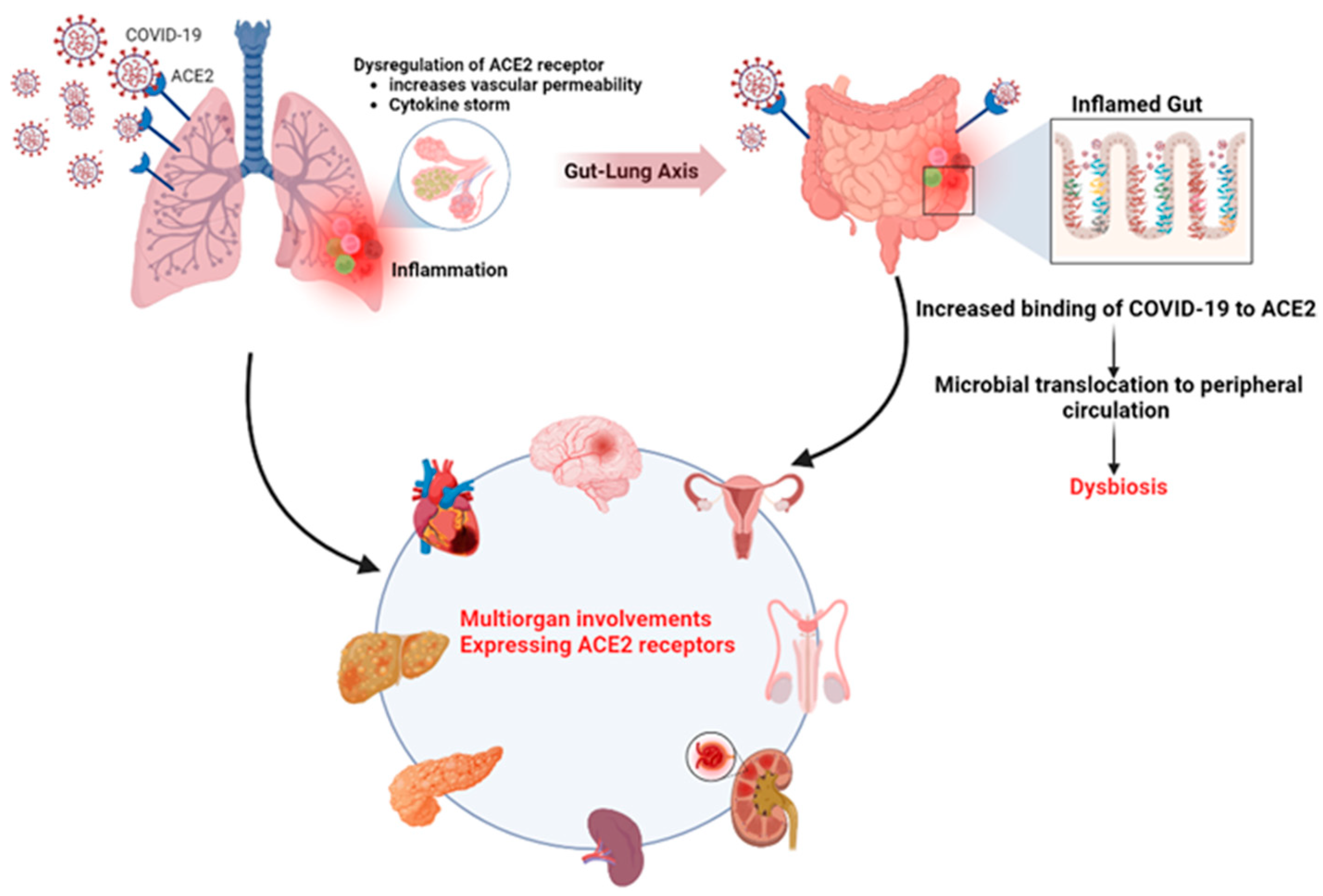 Gastrointestdisord 05 00028 g002