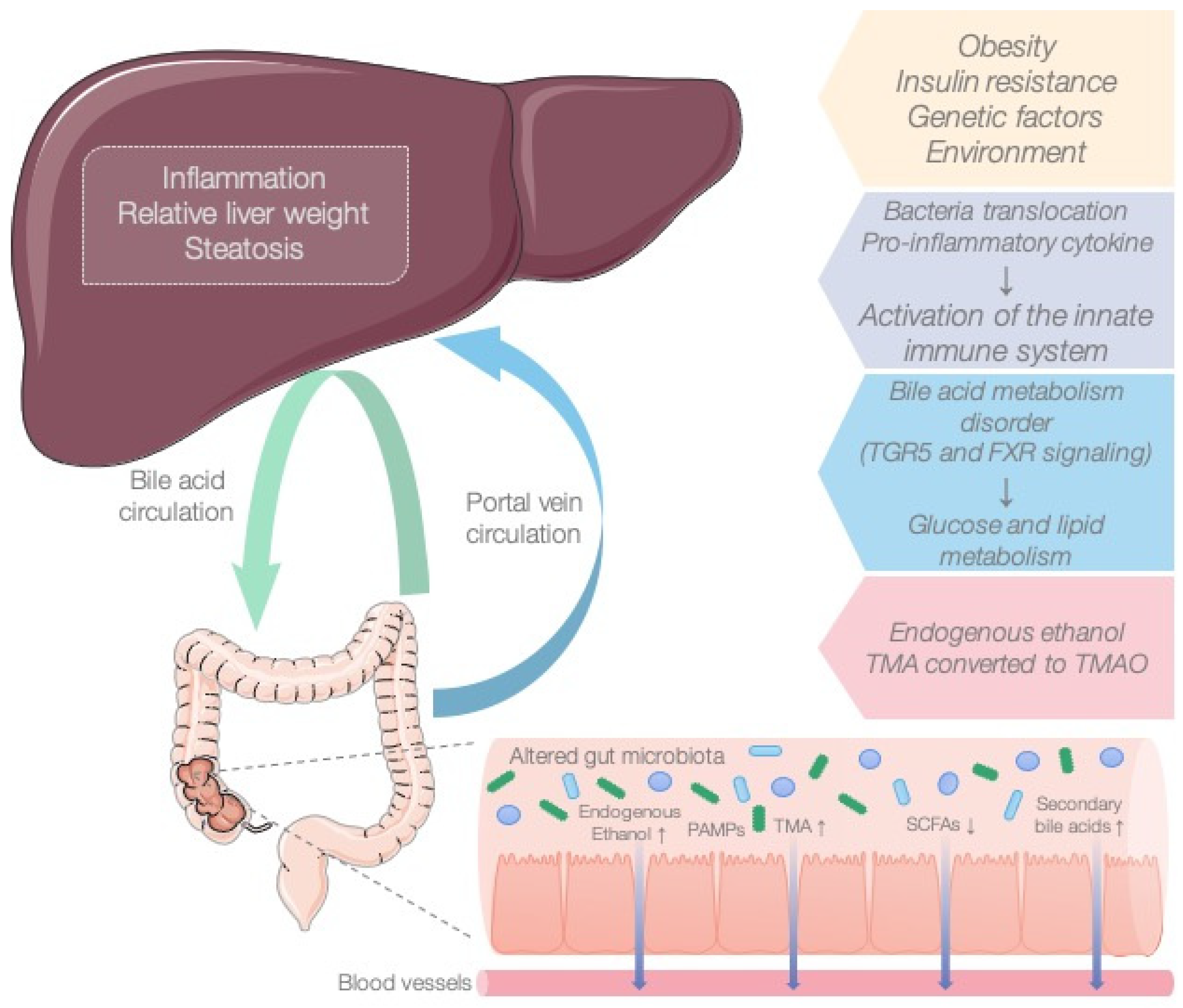 Gastrointestdisord 05 00038 g003