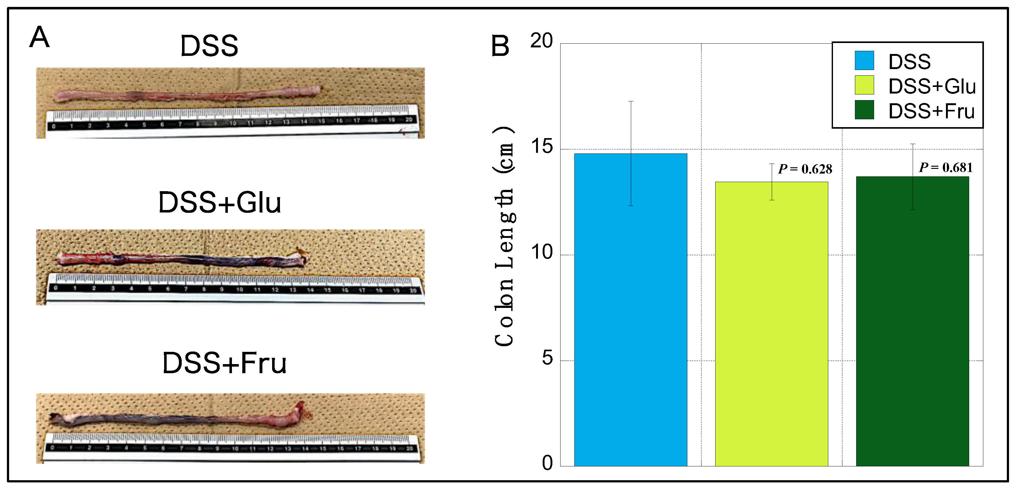 Gastrointestdisord 05 00039 g003