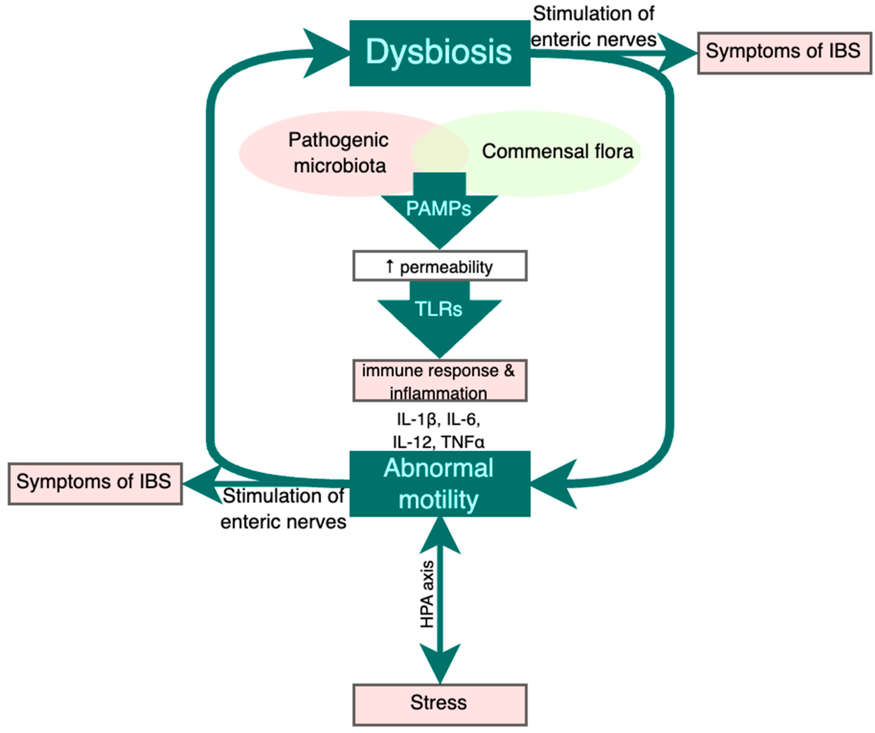 Gastrointestdisord 05 00043 g002