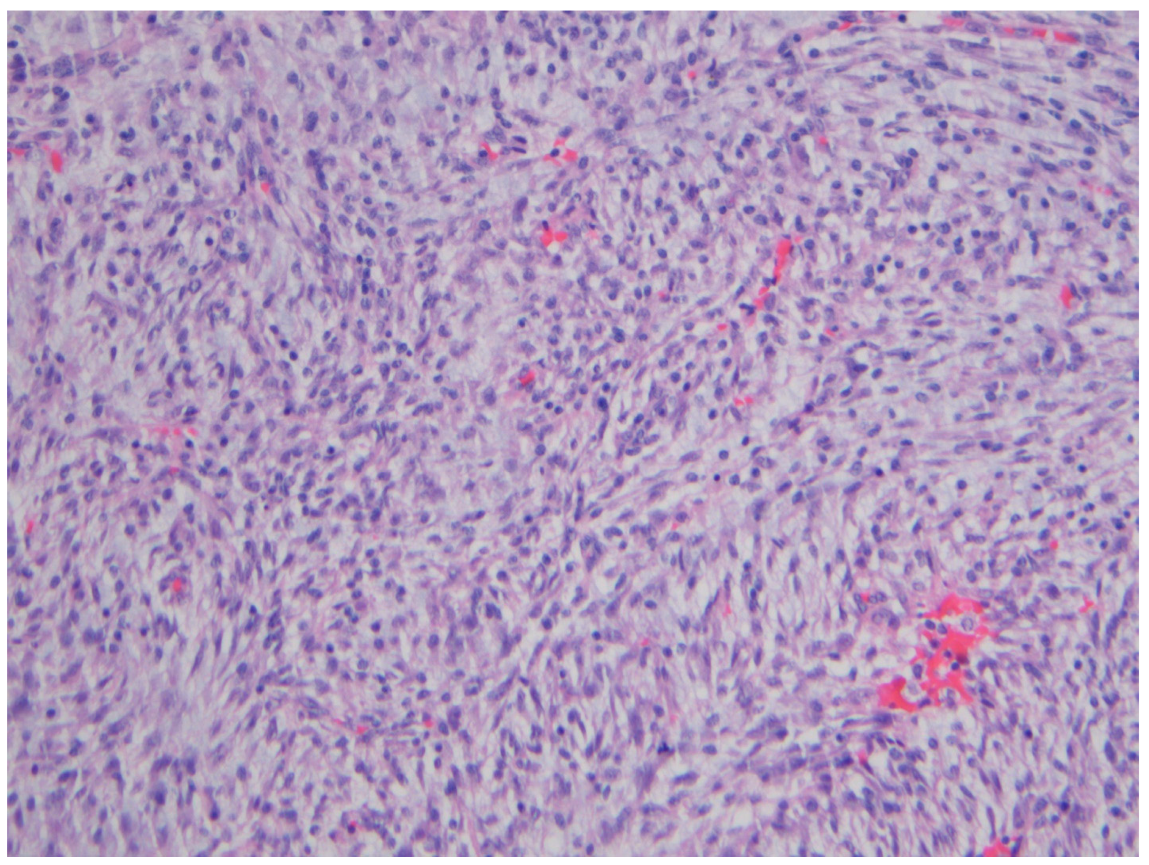 Gastrointestdisord 06 00019 g001 Gastrointestdisord 06 00019 g001