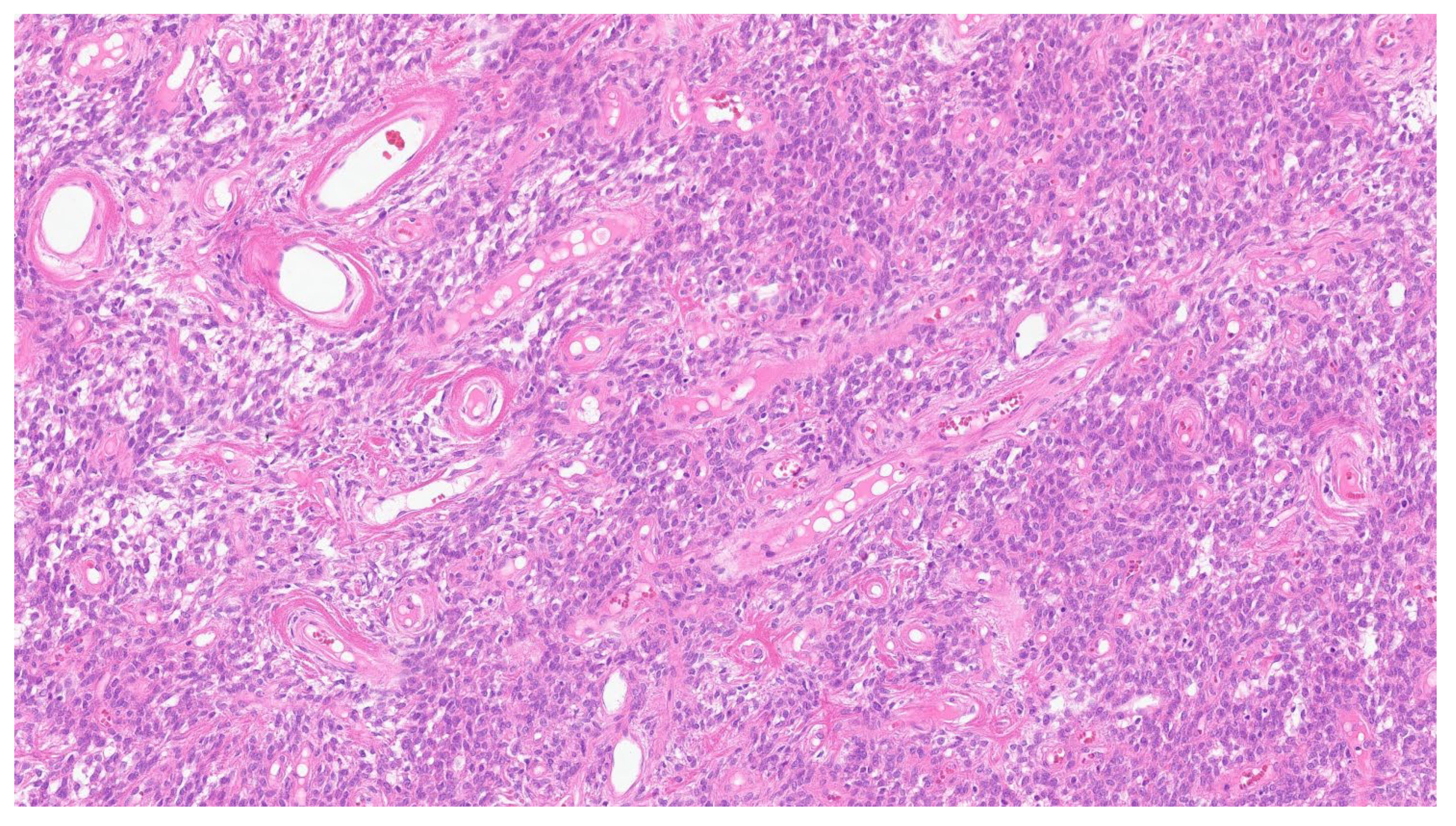 Gastrointestdisord 06 00019 g007 Gastrointestdisord 06 00019 g007