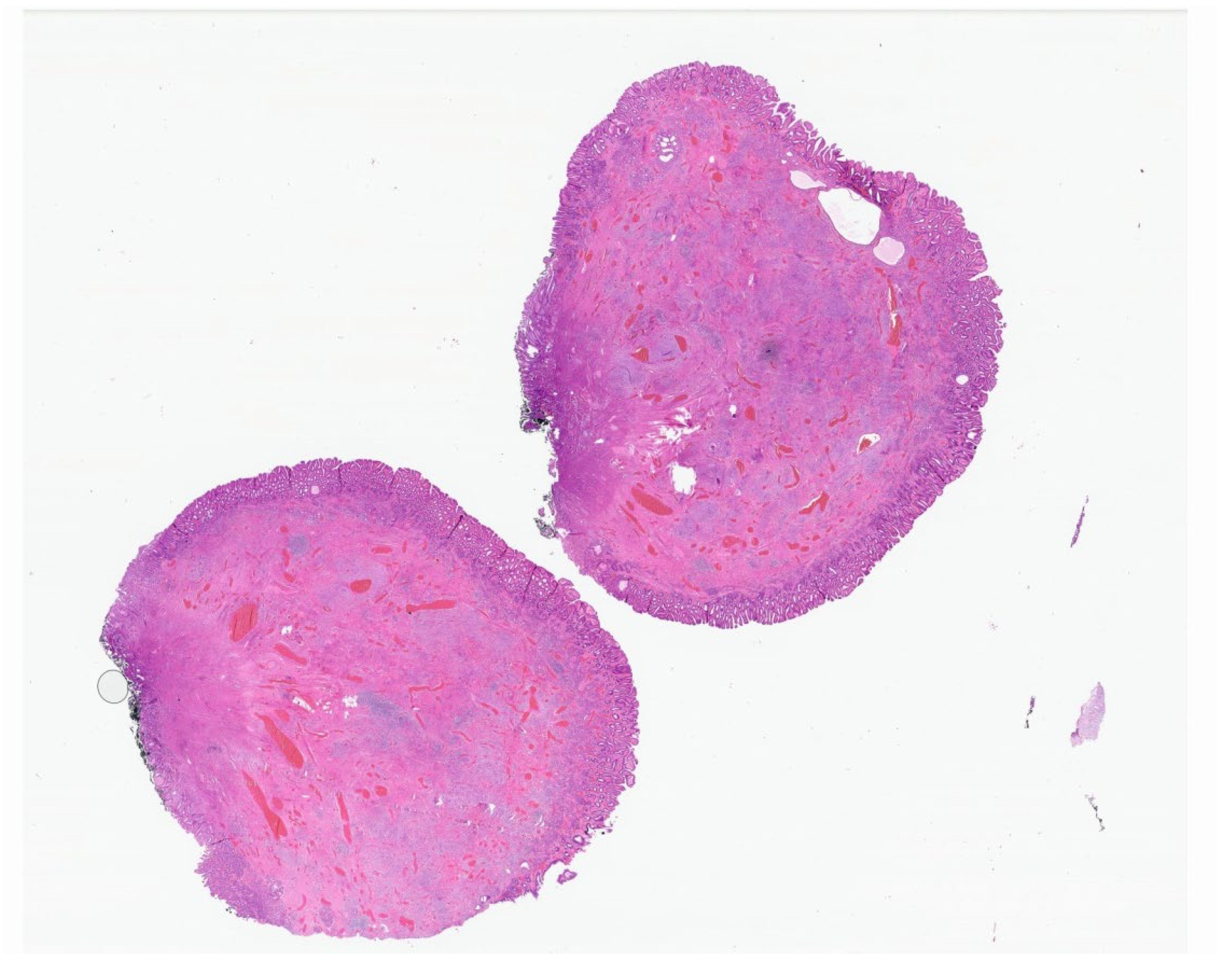 Gastrointestdisord 06 00019 g010 Gastrointestdisord 06 00019 g010