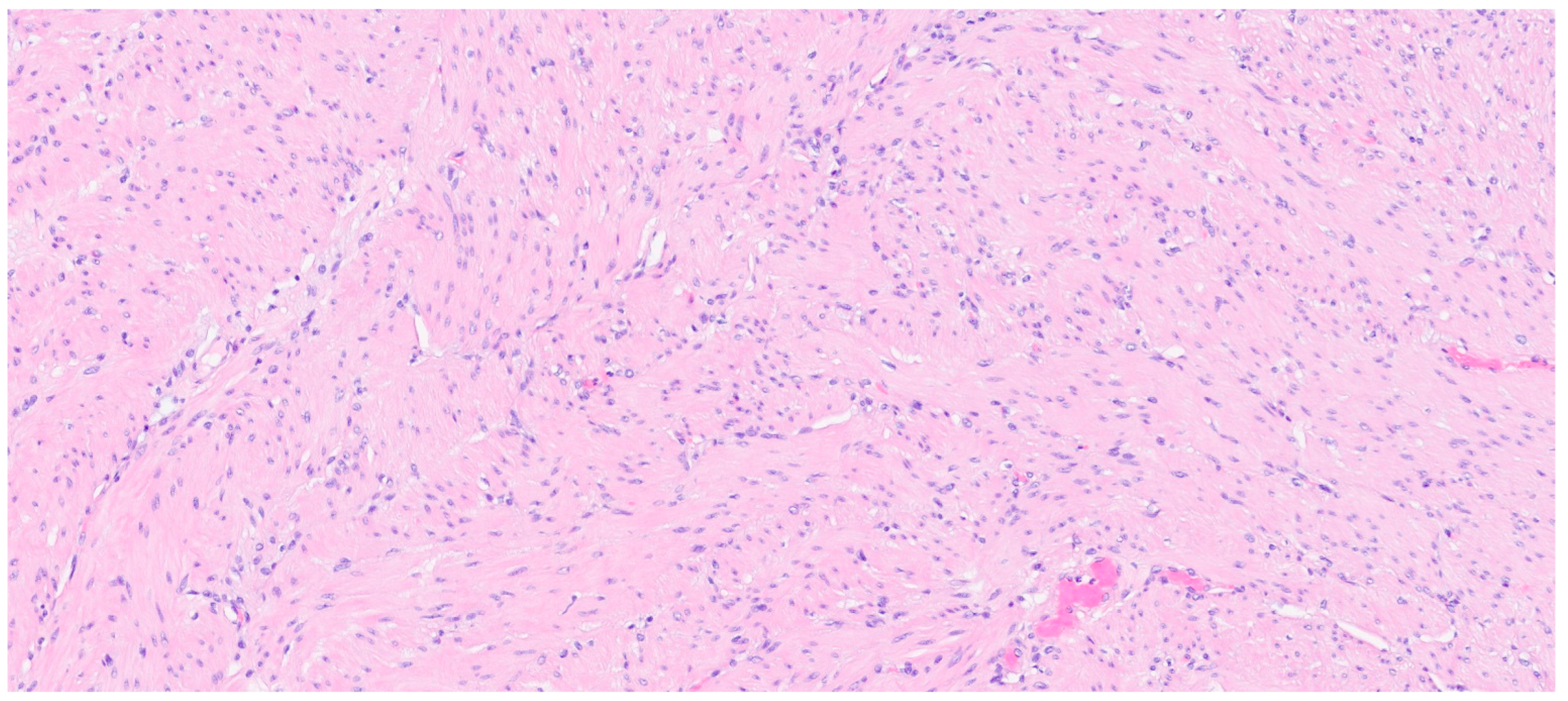 Gastrointestdisord 06 00019 g013 Gastrointestdisord 06 00019 g013