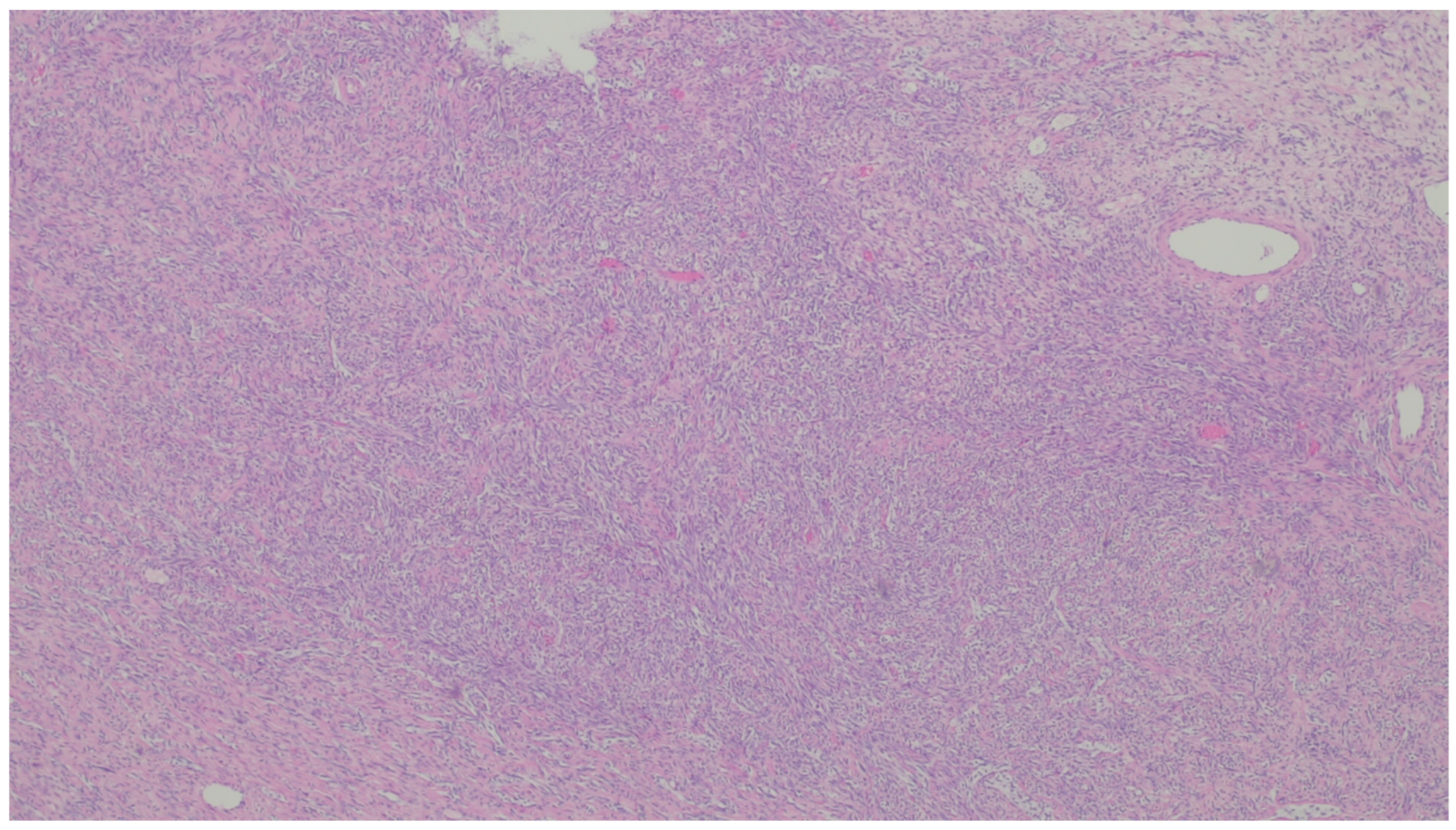 Gastrointestdisord 06 00019 g026 Gastrointestdisord 06 00019 g026