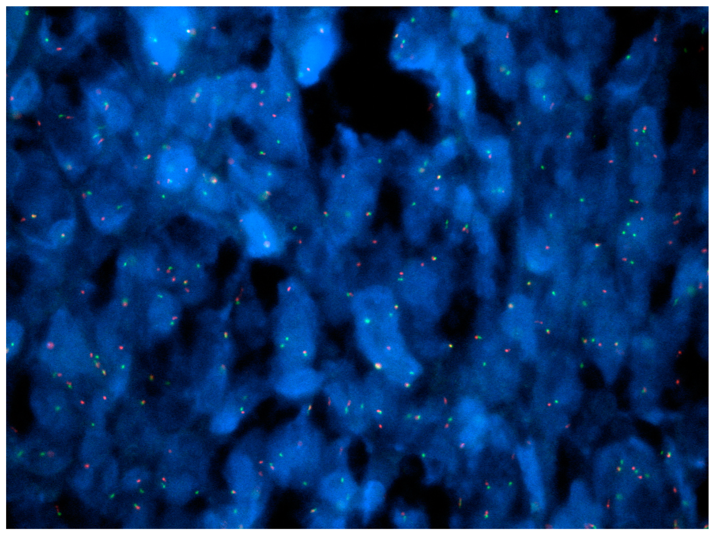 Gastrointestdisord 06 00019 g029 Gastrointestdisord 06 00019 g029