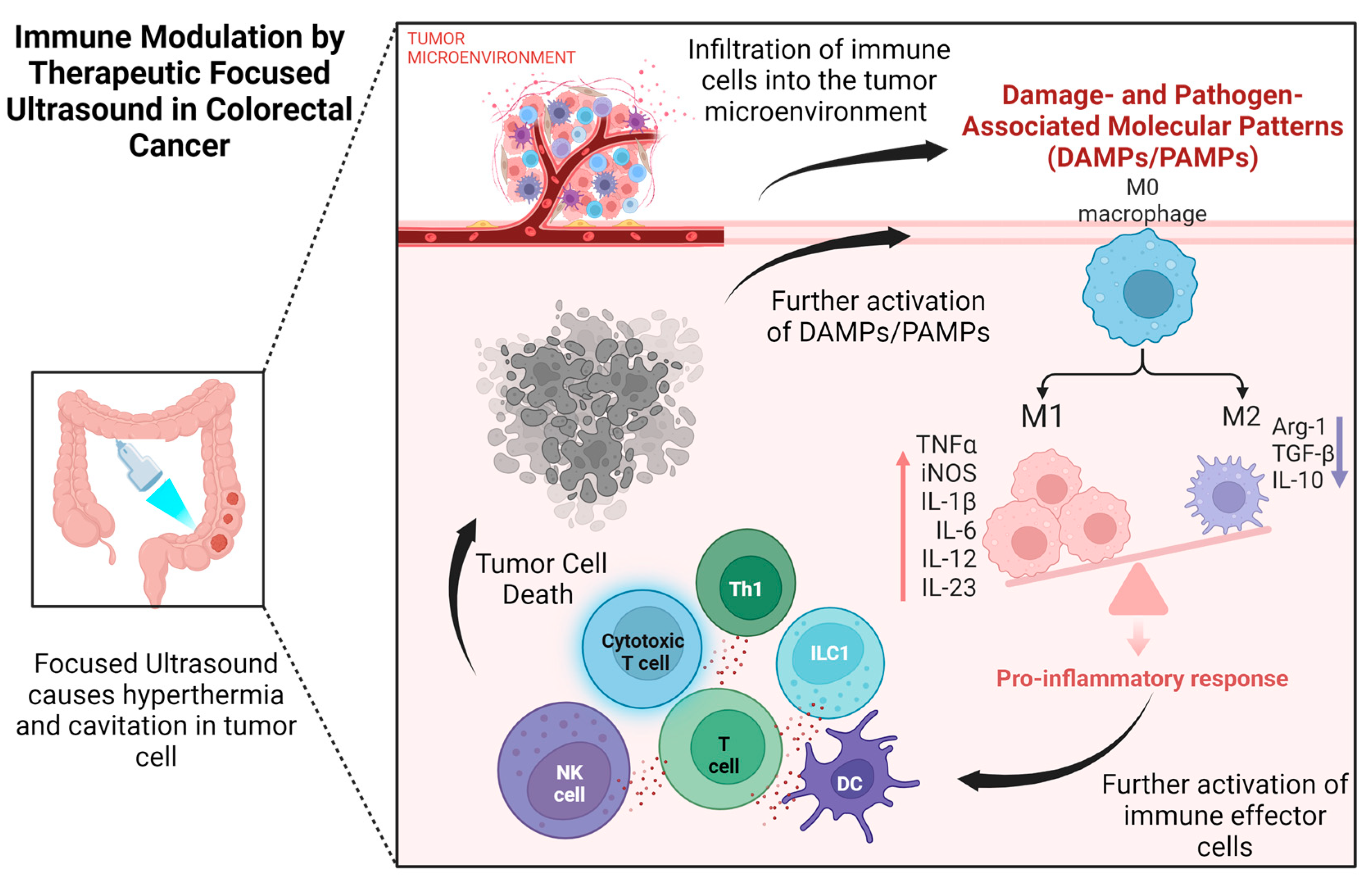 Gastrointestdisord 06 00026 g002