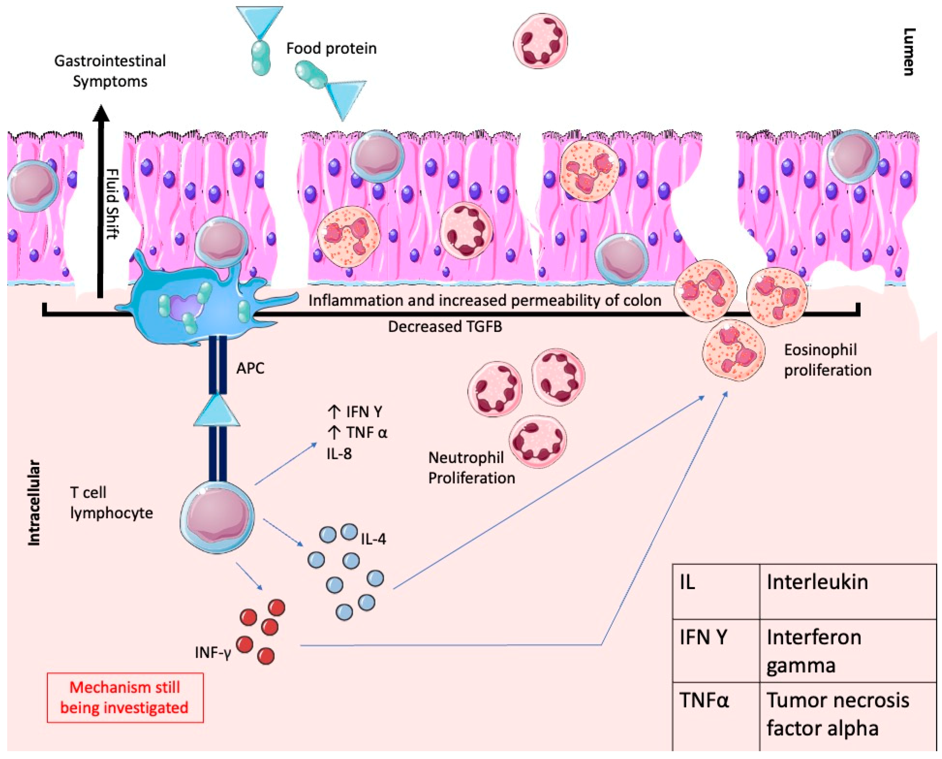 Gastrointestdisord 06 00033 g001