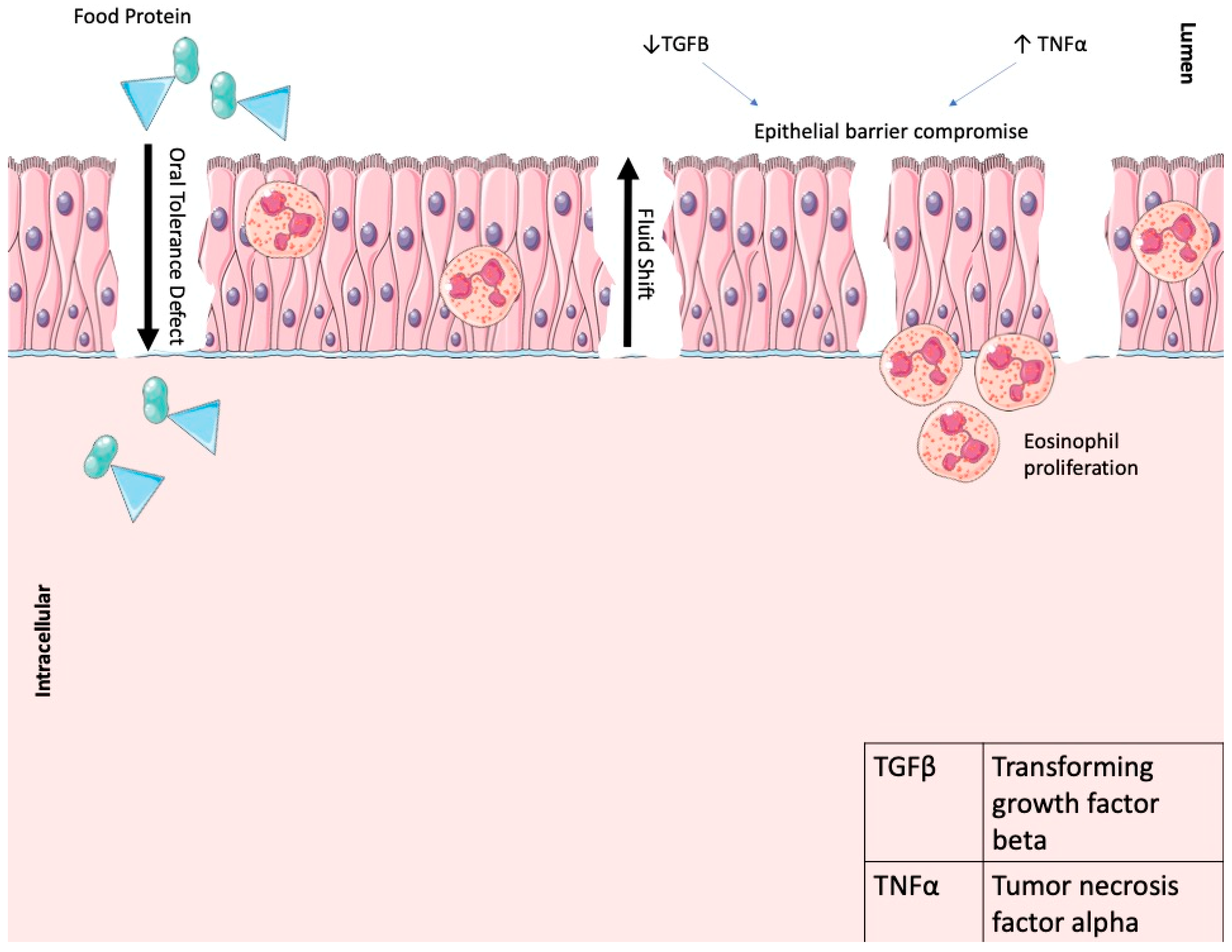 Gastrointestdisord 06 00033 g002