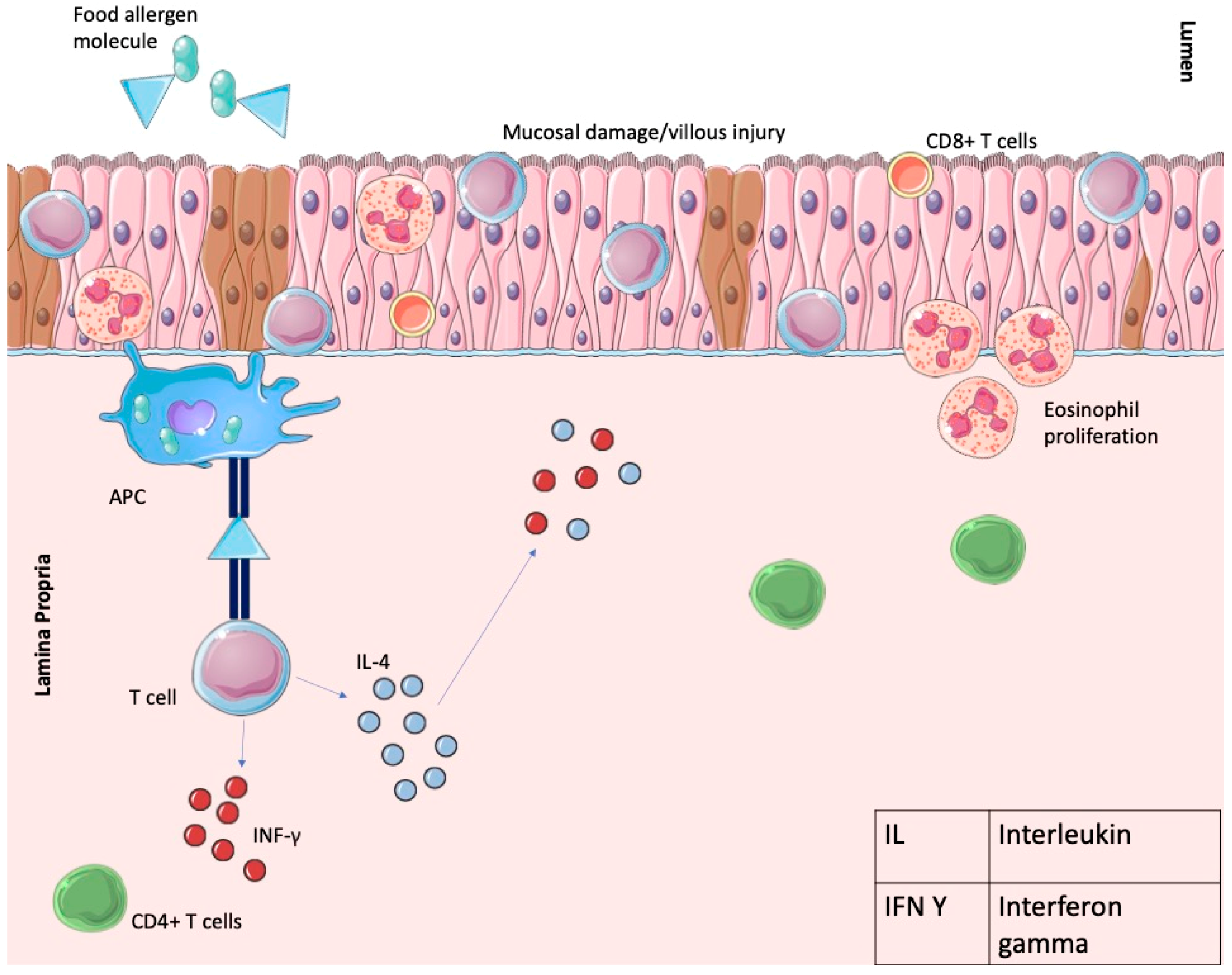 Gastrointestdisord 06 00033 g003