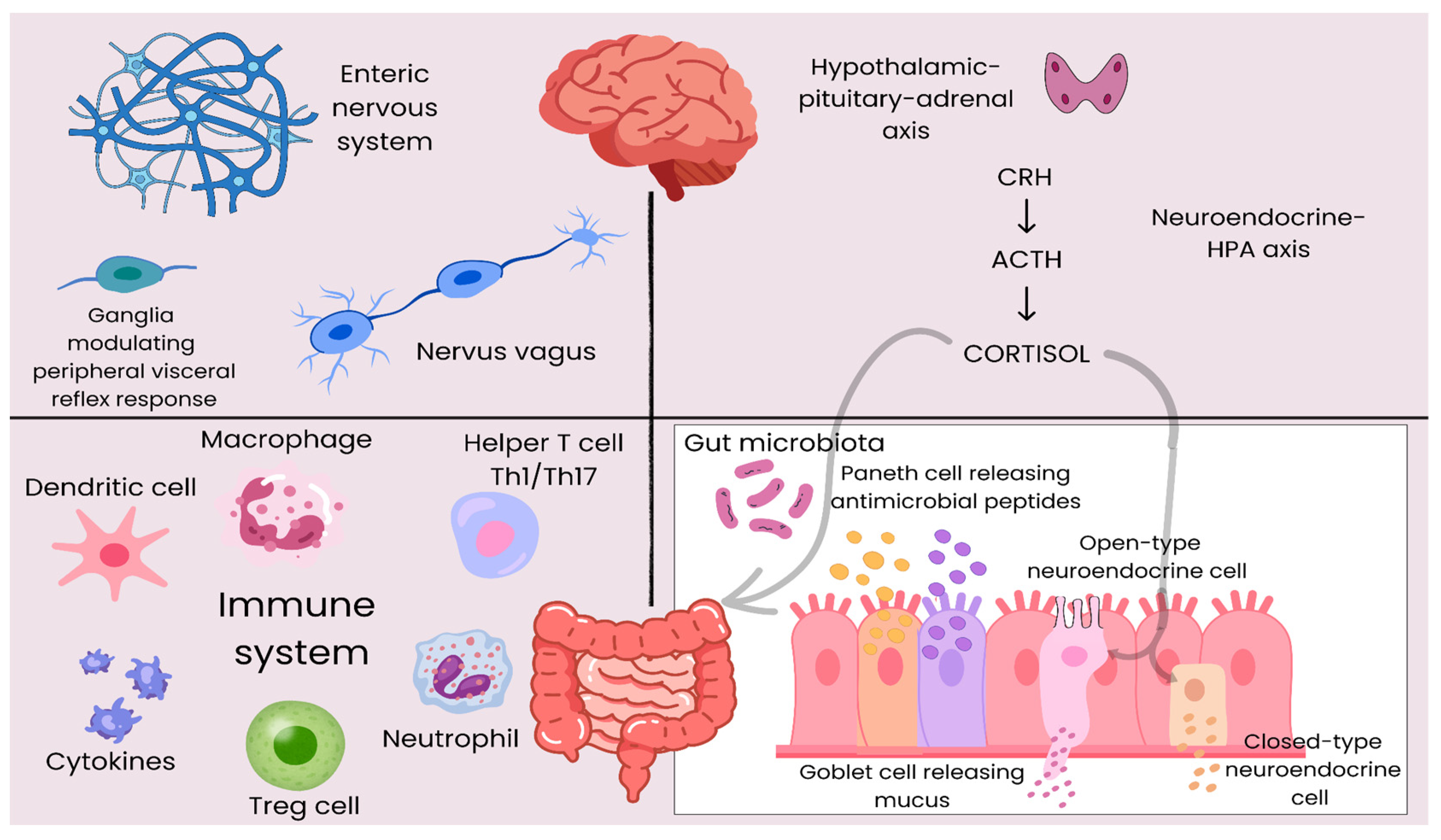 Gastrointestdisord 06 00039 g001 Gastrointestdisord 06 00039 g001