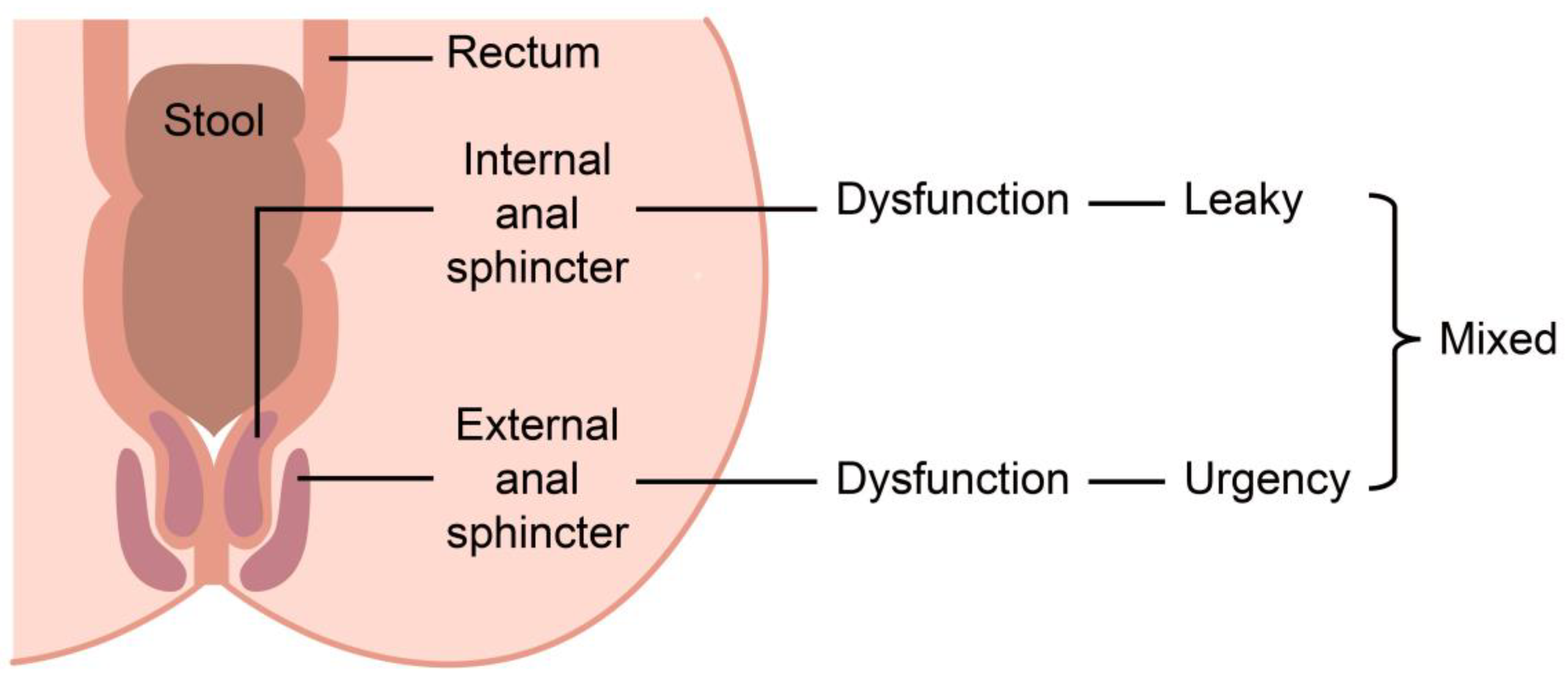 Gastrointestdisord 06 00053 g002