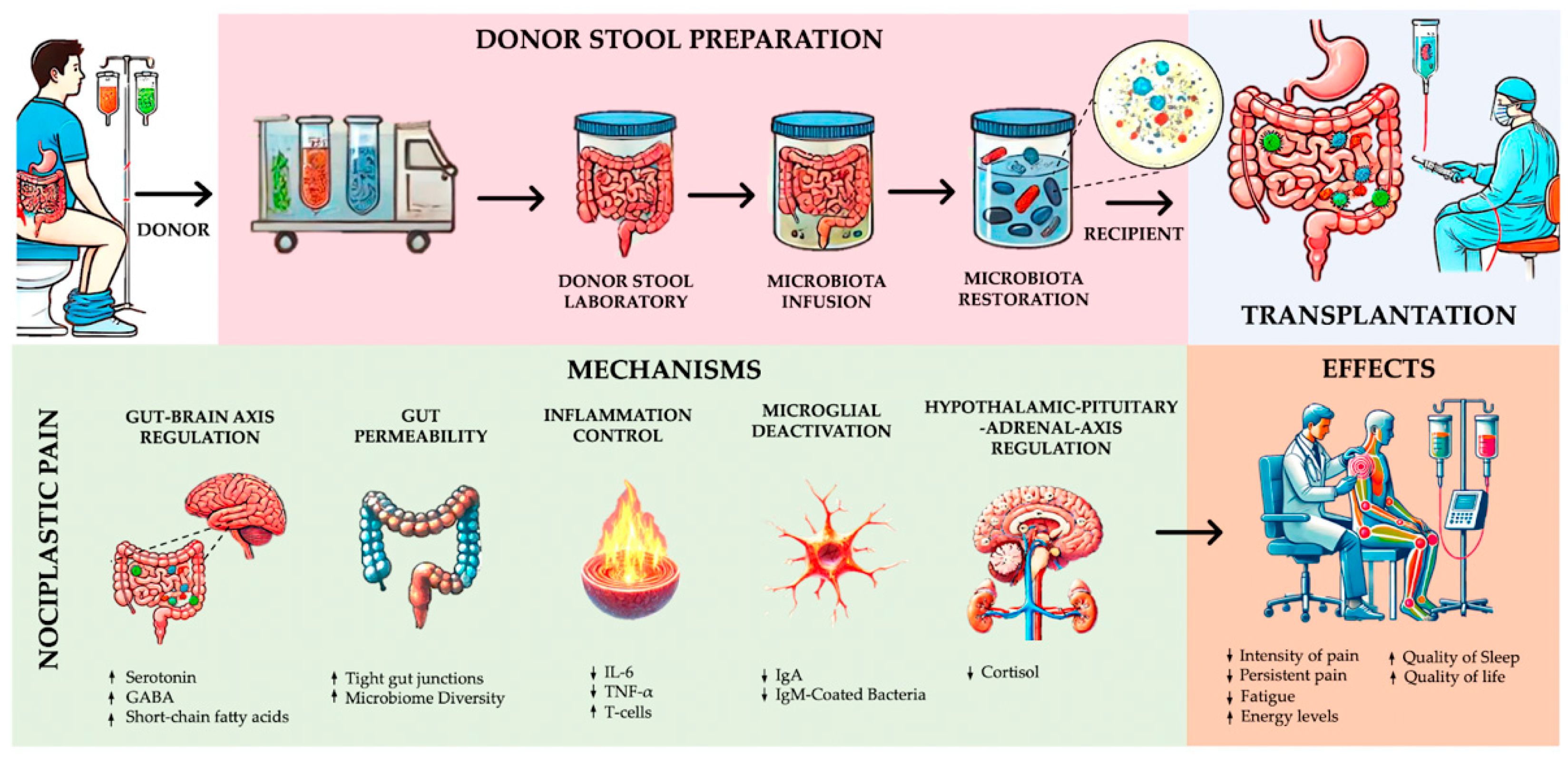 Gastrointestdisord 07 00005 g002