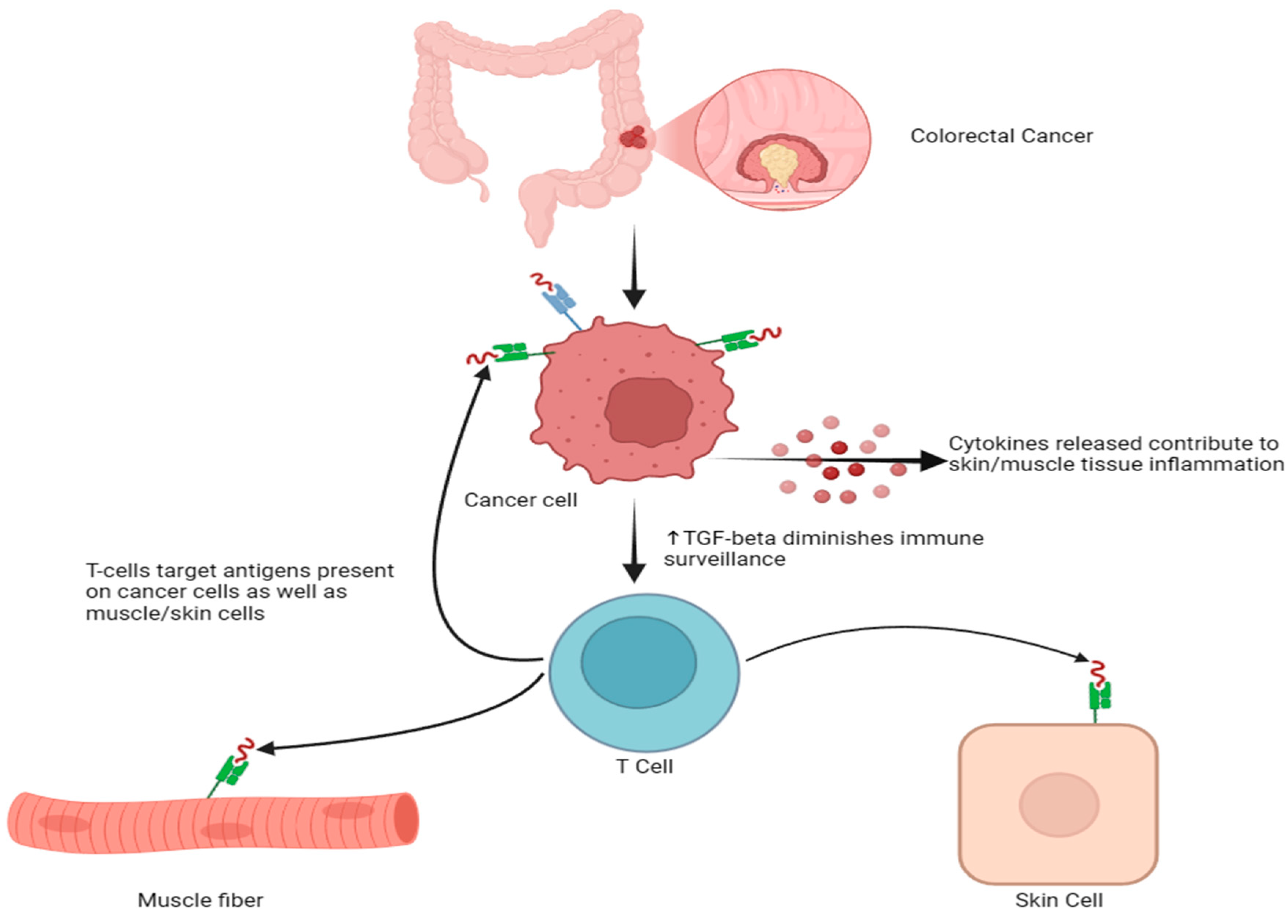Gastrointestdisord 07 00008 g003 Gastrointestdisord 07 00008 g003