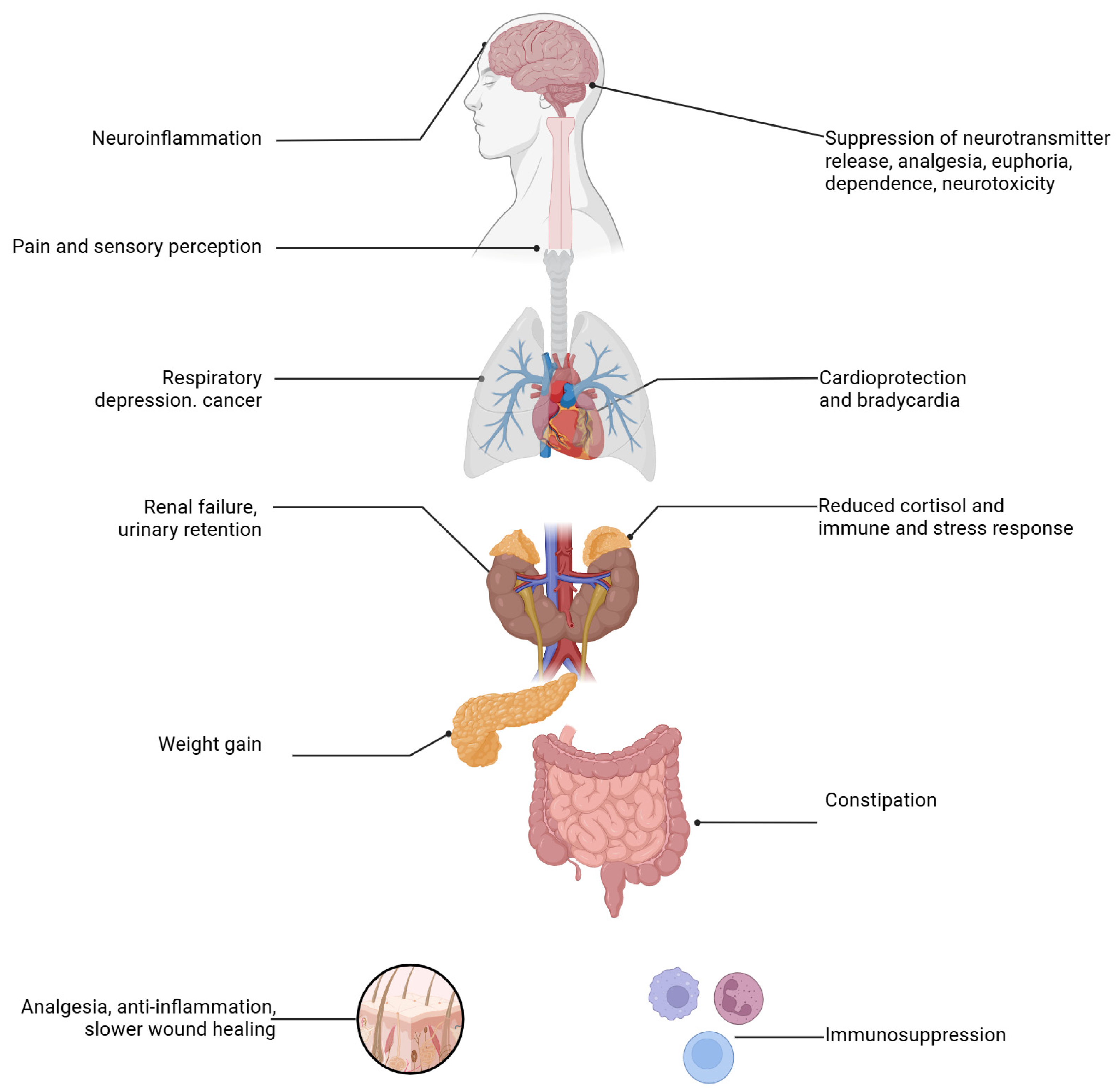 Gastrointestdisord 07 00011 g003 Gastrointestdisord 07 00011 g003