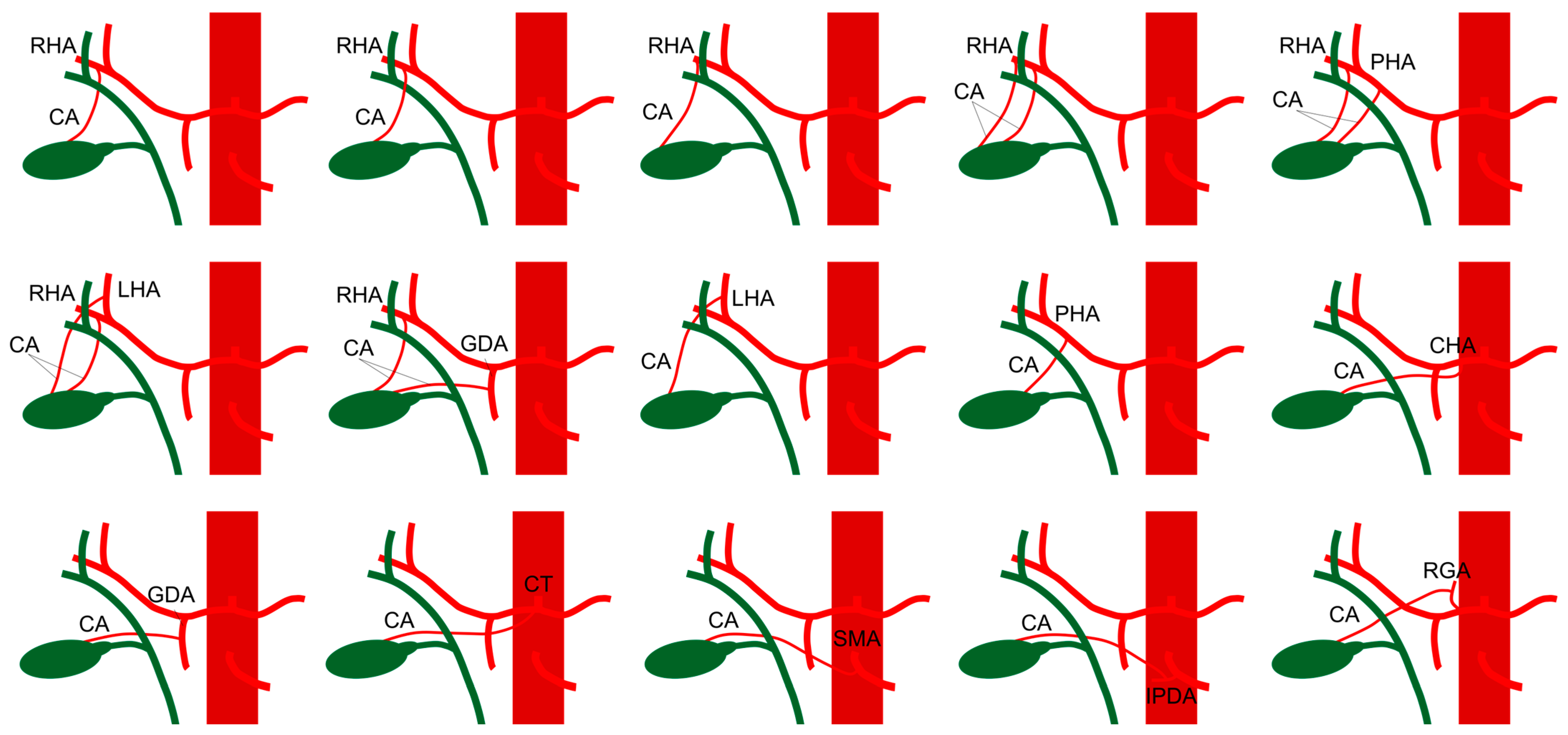 Gastrointestdisord 07 00020 g001