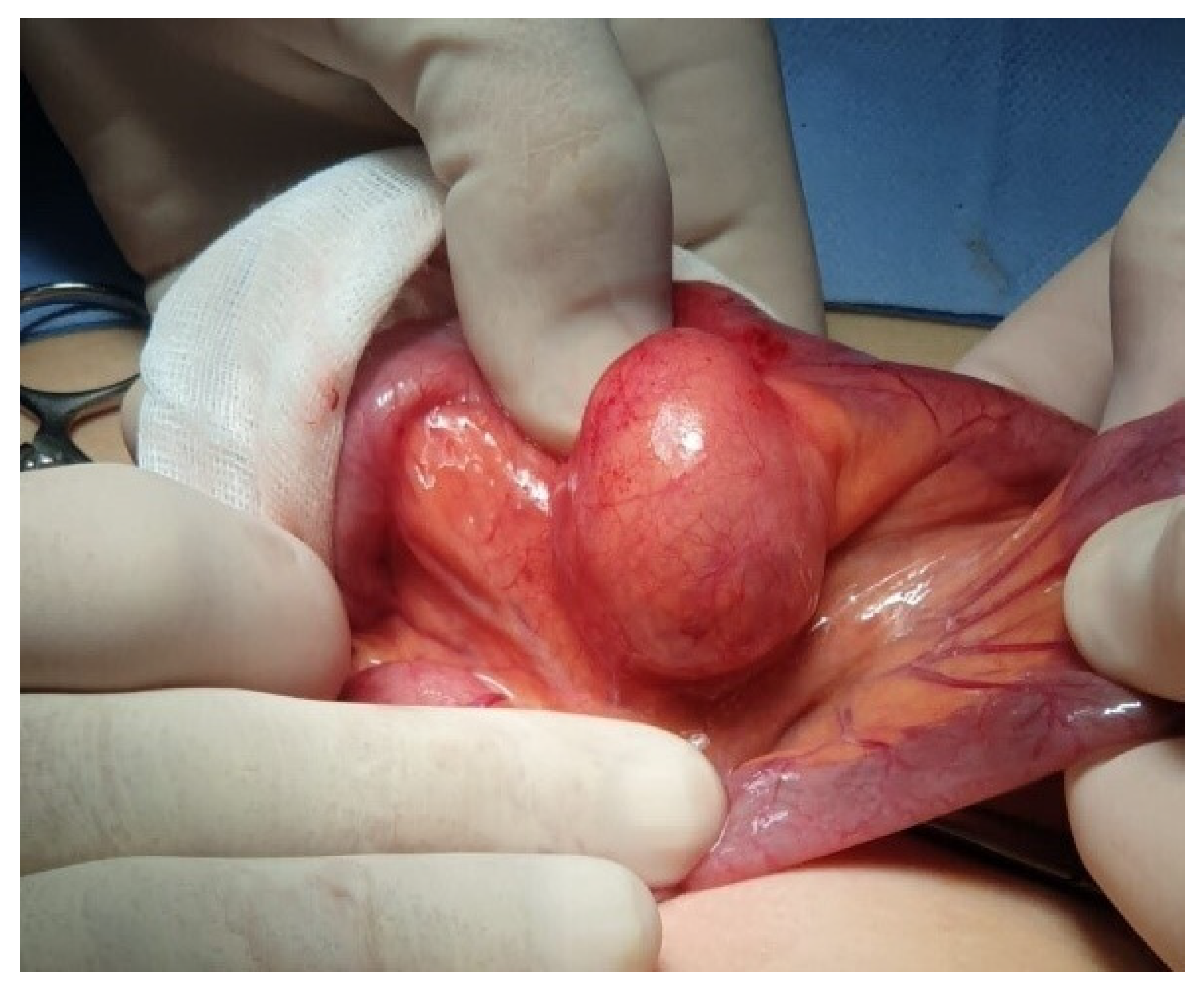 Gastrointestdisord 07 00024 g002