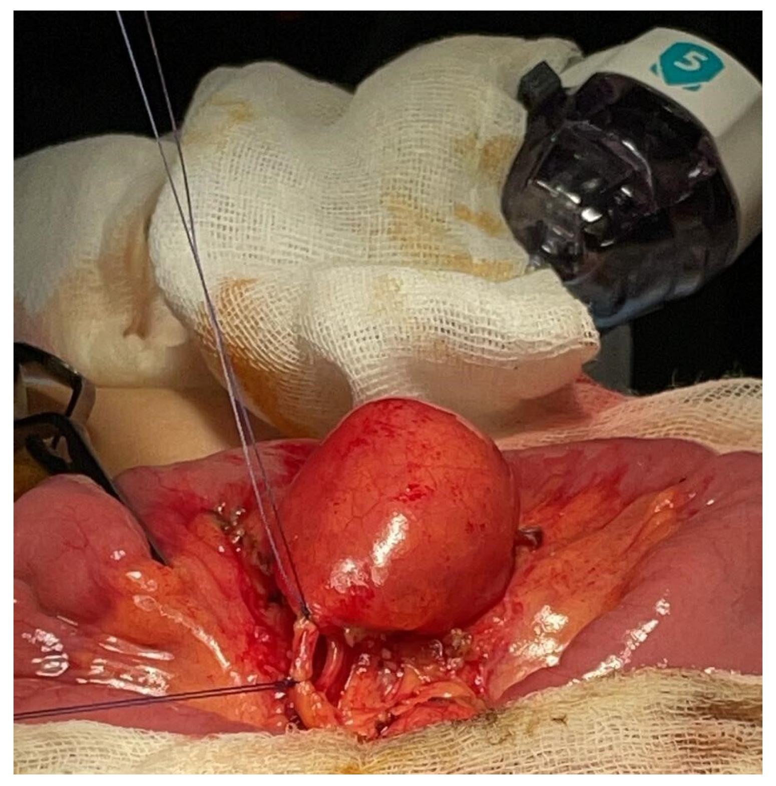 Gastrointestdisord 07 00024 g003