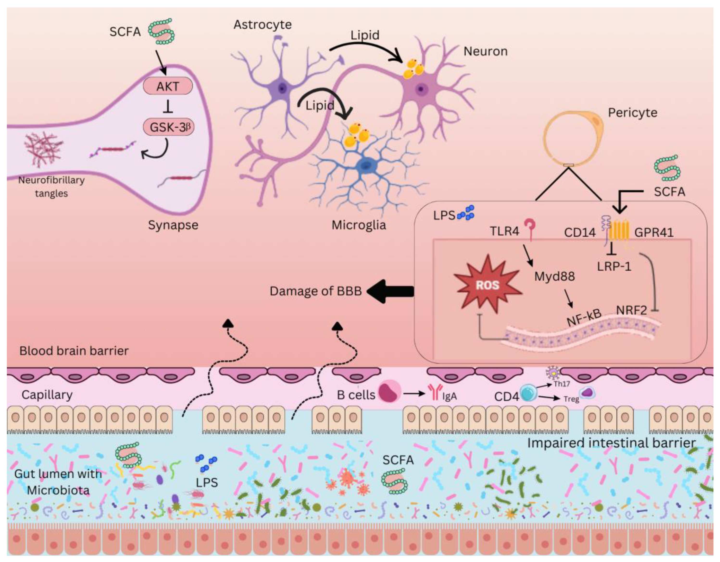 Gastrointestdisord 07 00028 g002