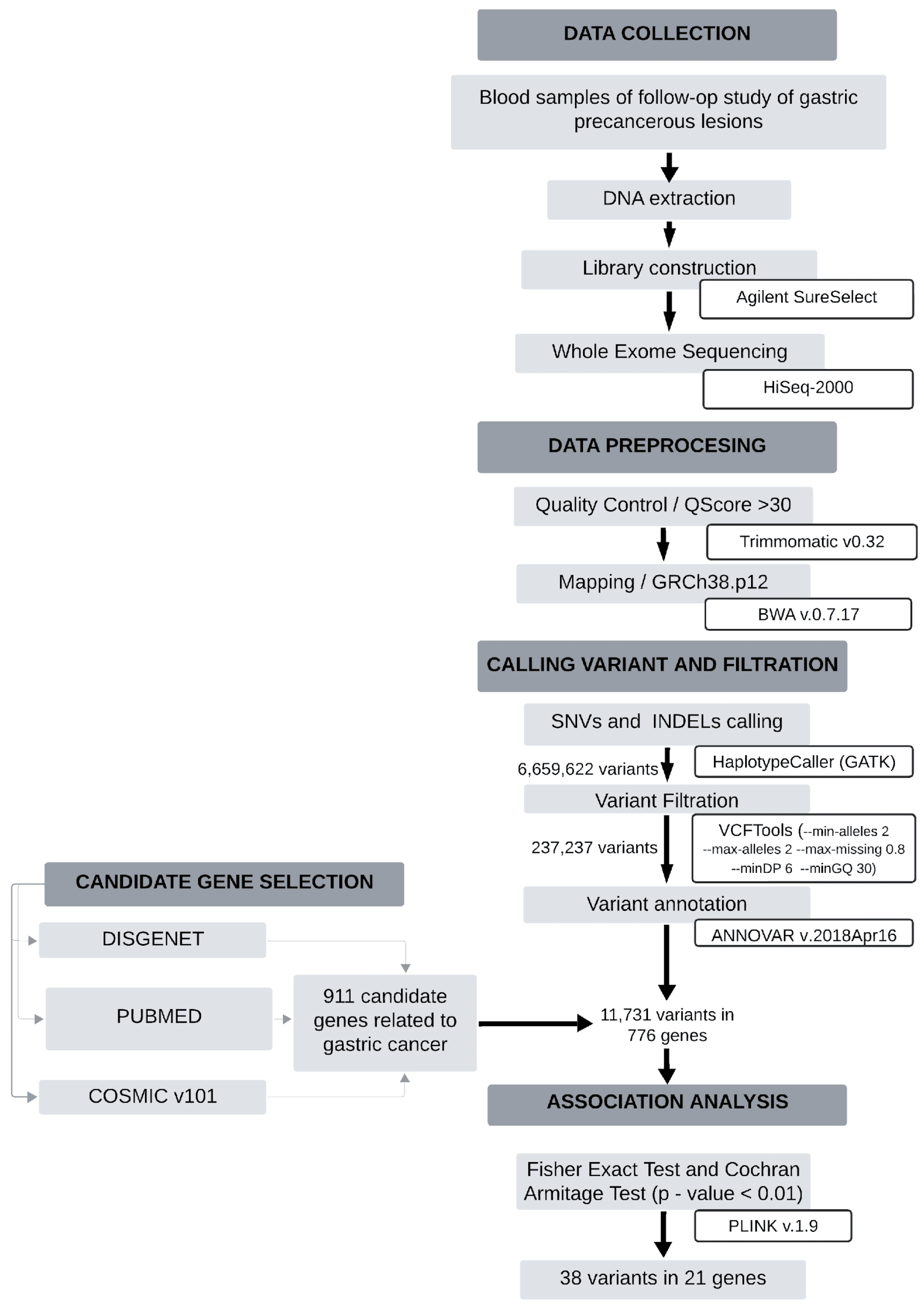 Gastrointestdisord 07 00030 g001