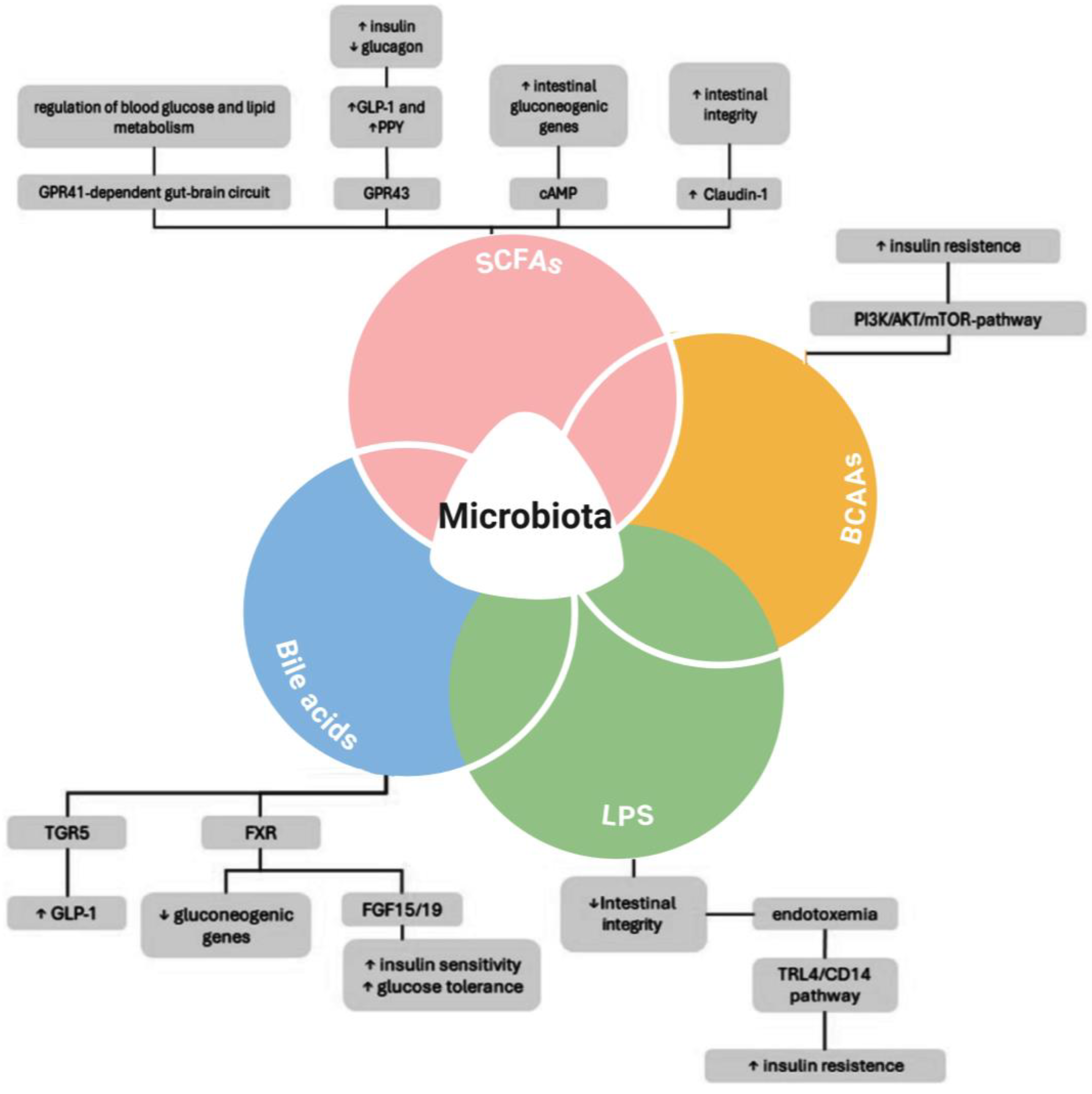 Gastrointestdisord 07 00032 g001