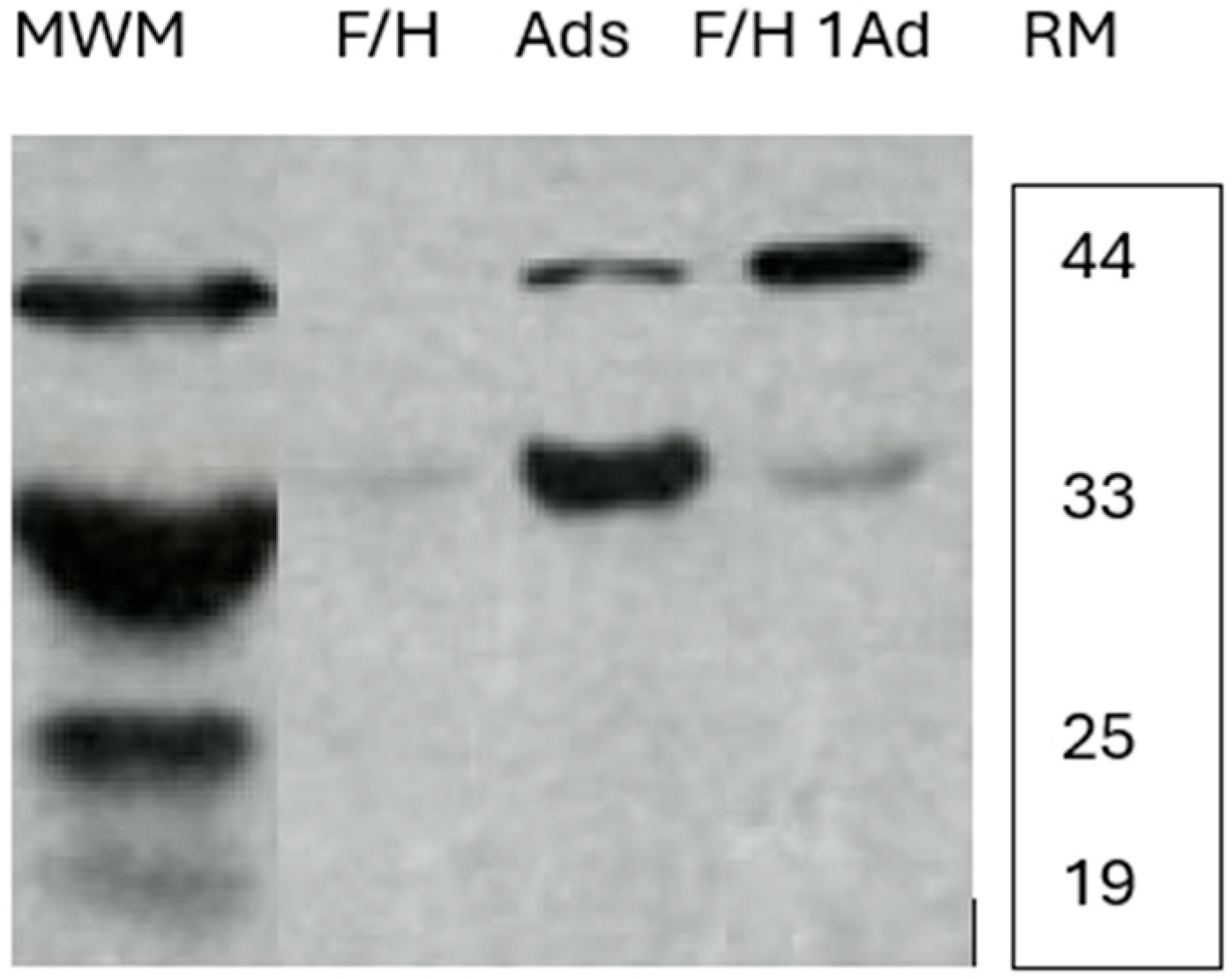 Gastrointestdisord 07 00048 g004