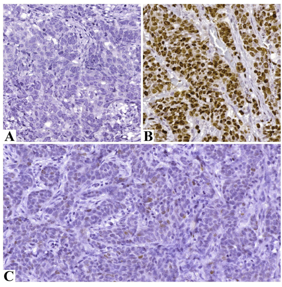 Gastrointestdisord 07 00051 g002