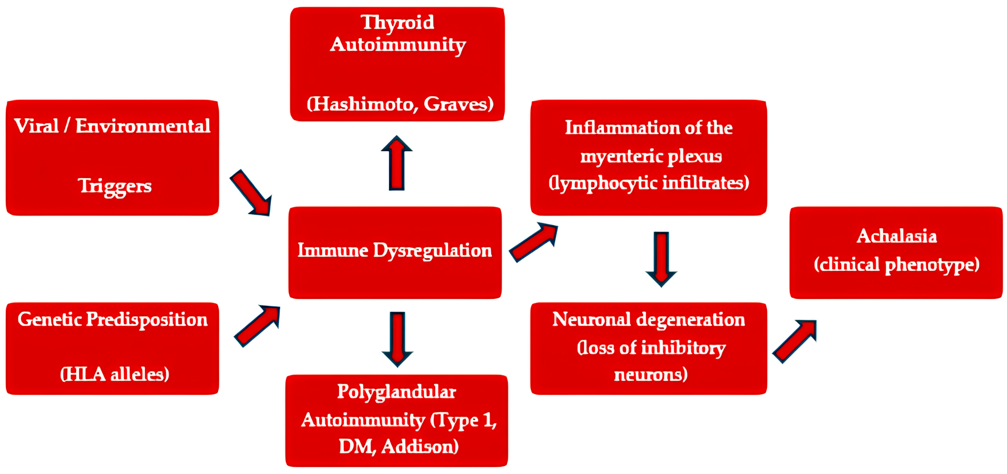 Gastrointestdisord 07 00064 g002