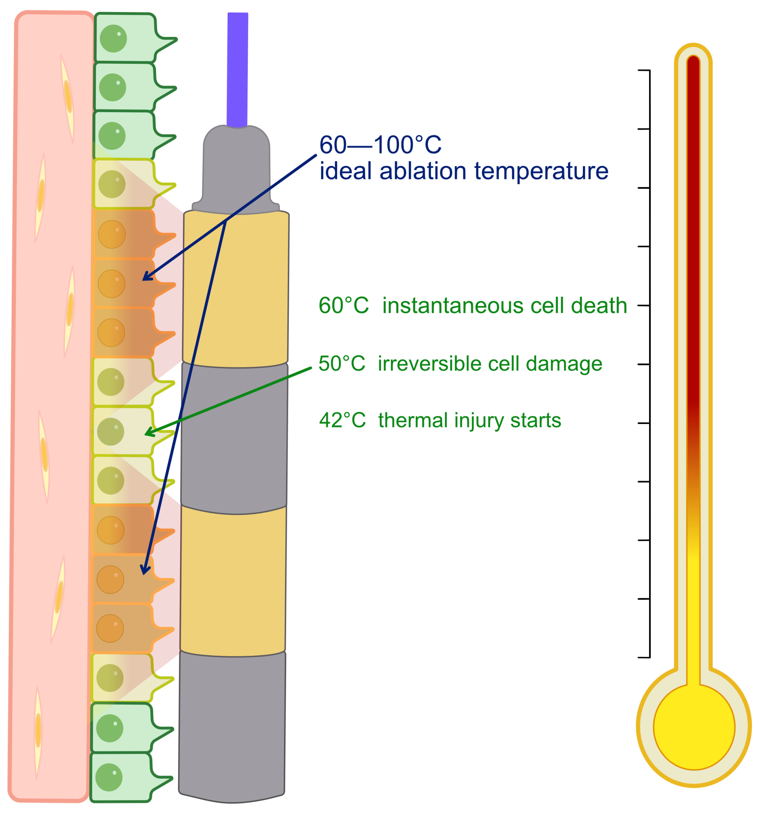 Gastrointestdisord 07 00075 g001