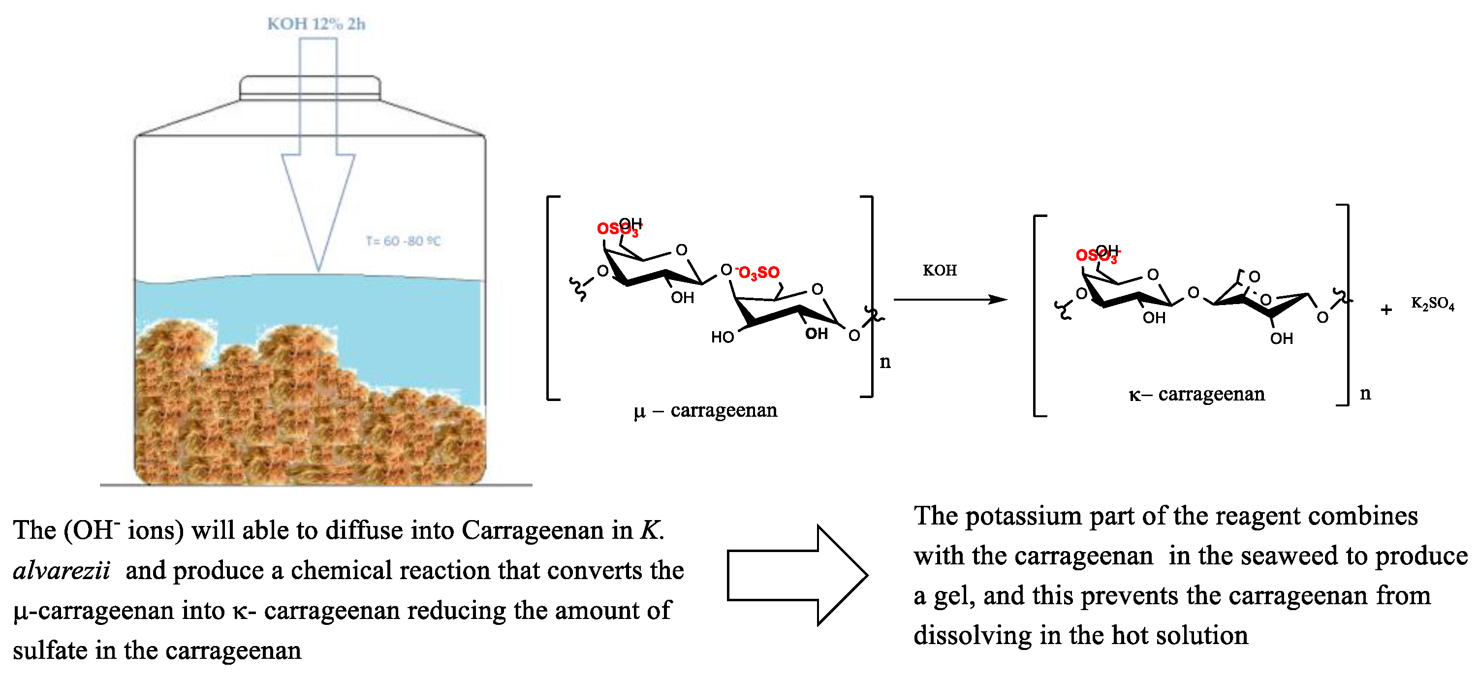 Gastronomy 02 00014 g004 Gastronomy 02 00014 g004