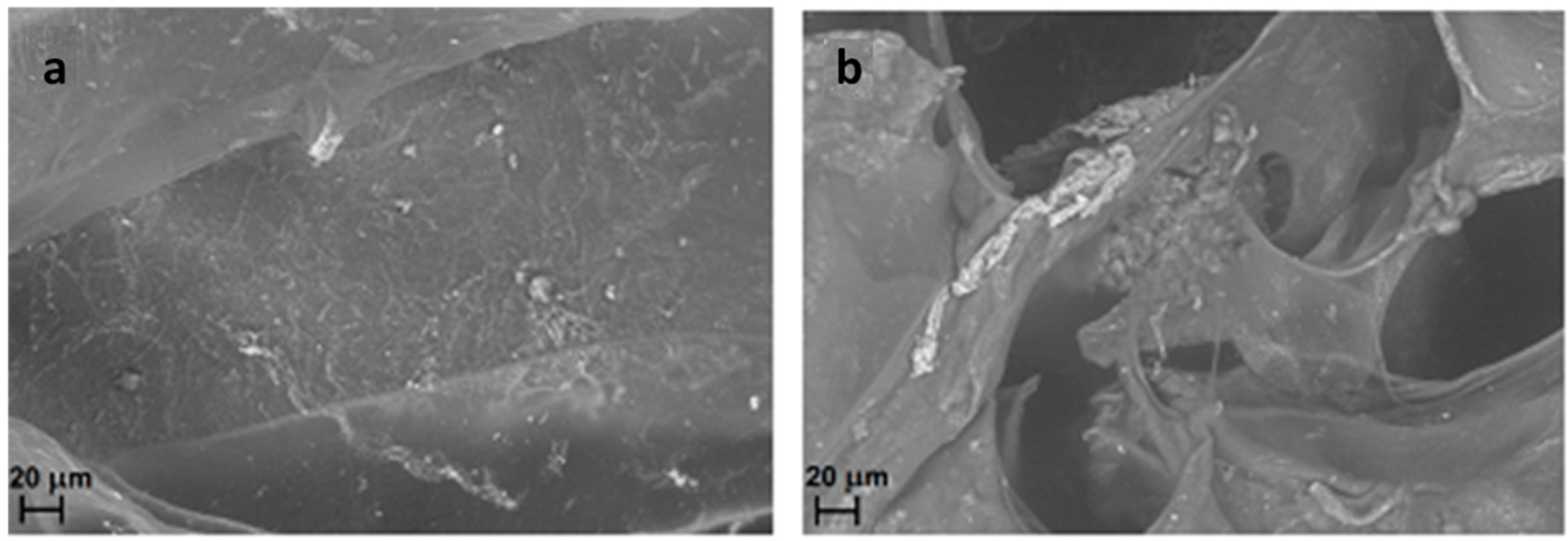 Gels 01 00024 g009
