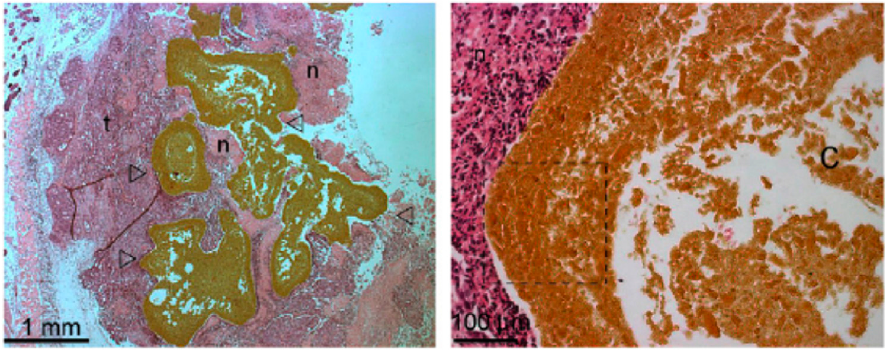 Gels 01 00135 g003 1024