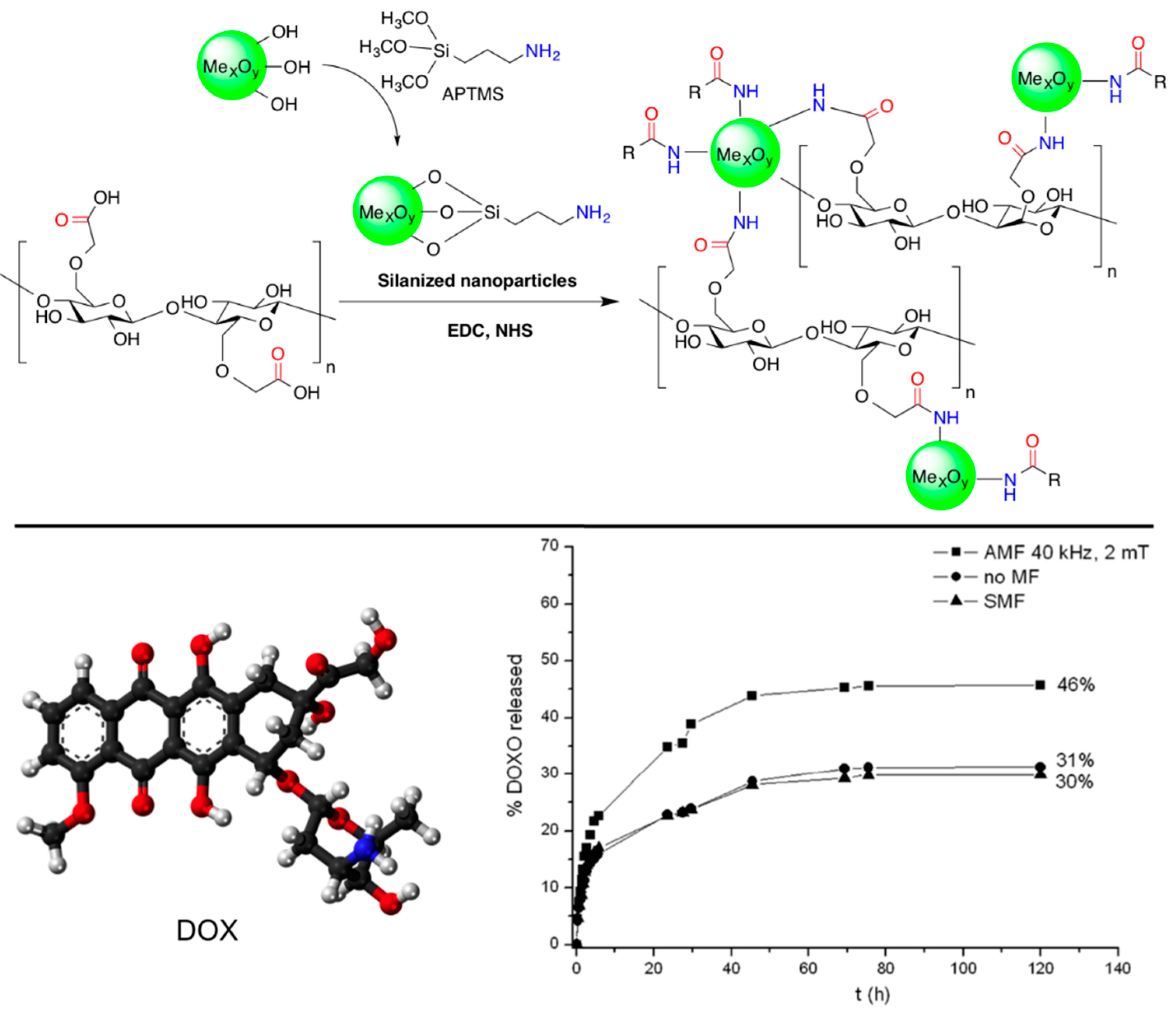 Gels 01 00135 g006 1024