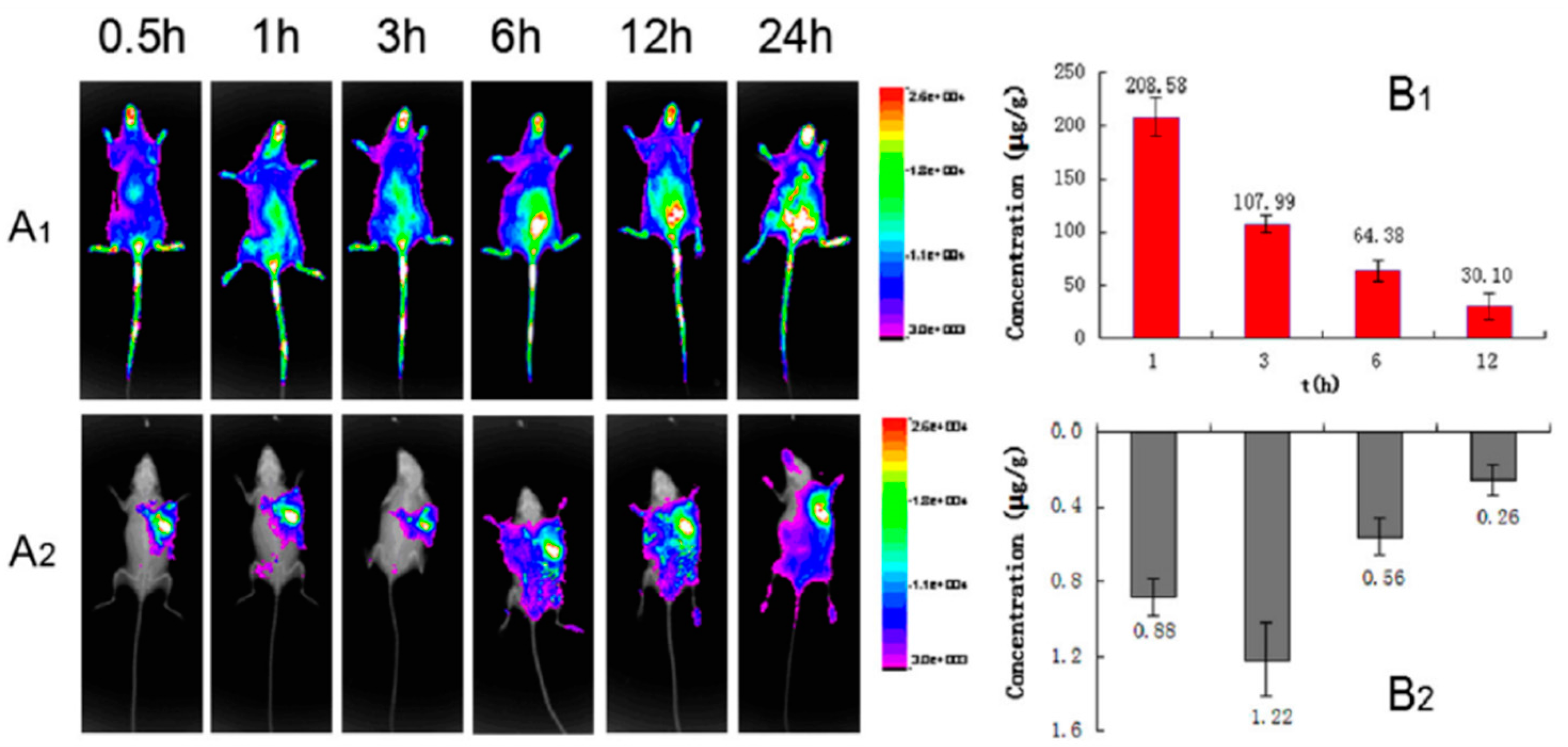 Gels 01 00135 g008 1024