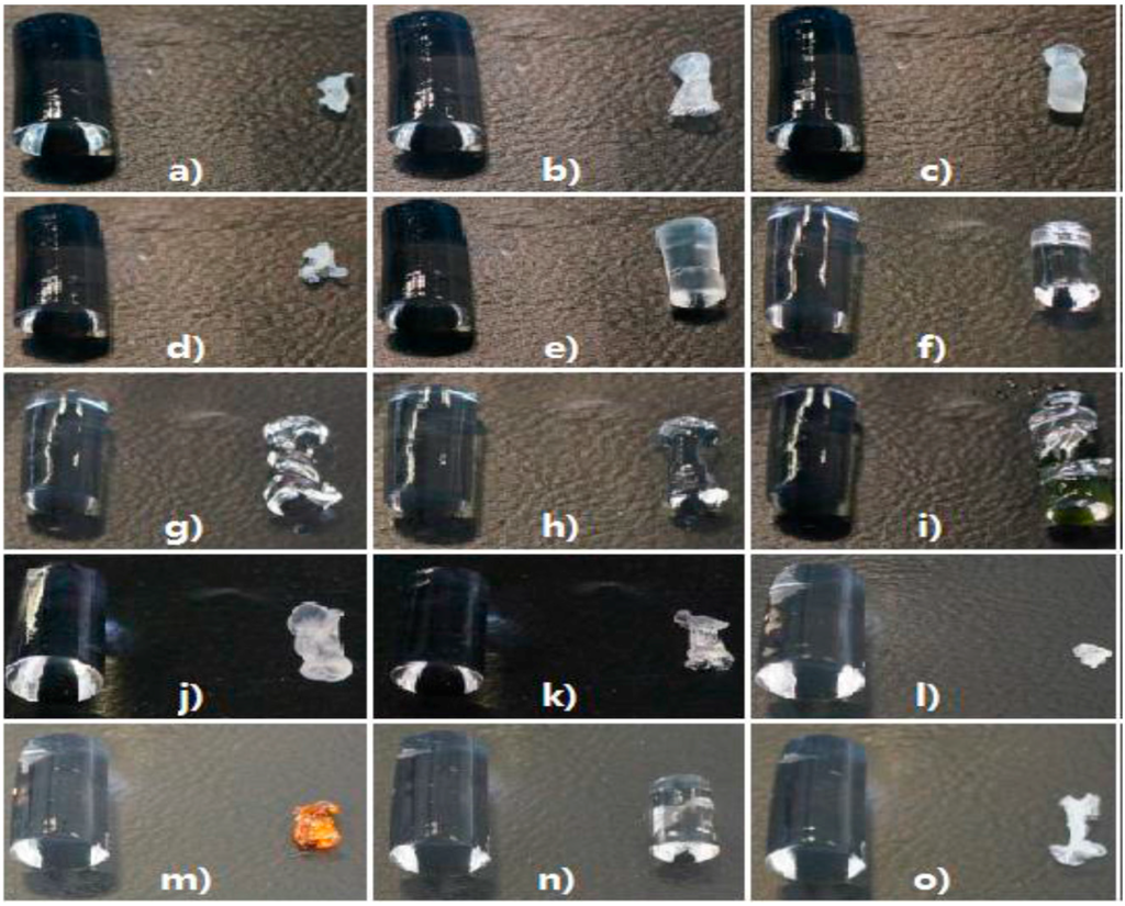 Gels 01 00291 g001 1024